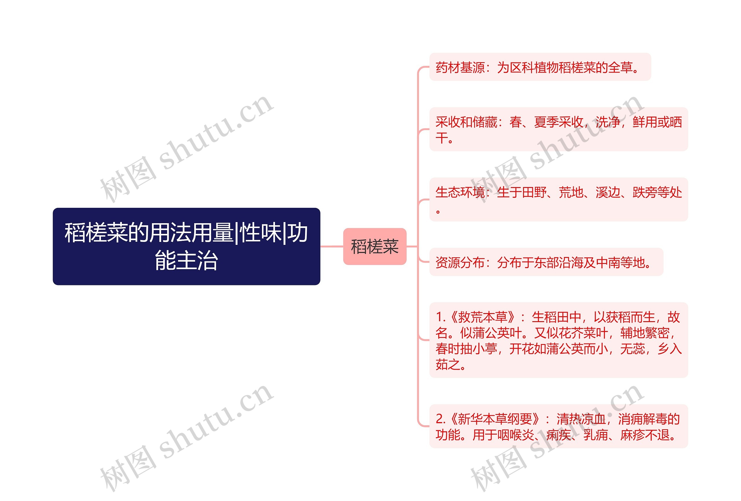 稻槎菜的用法用量|性味|功能主治