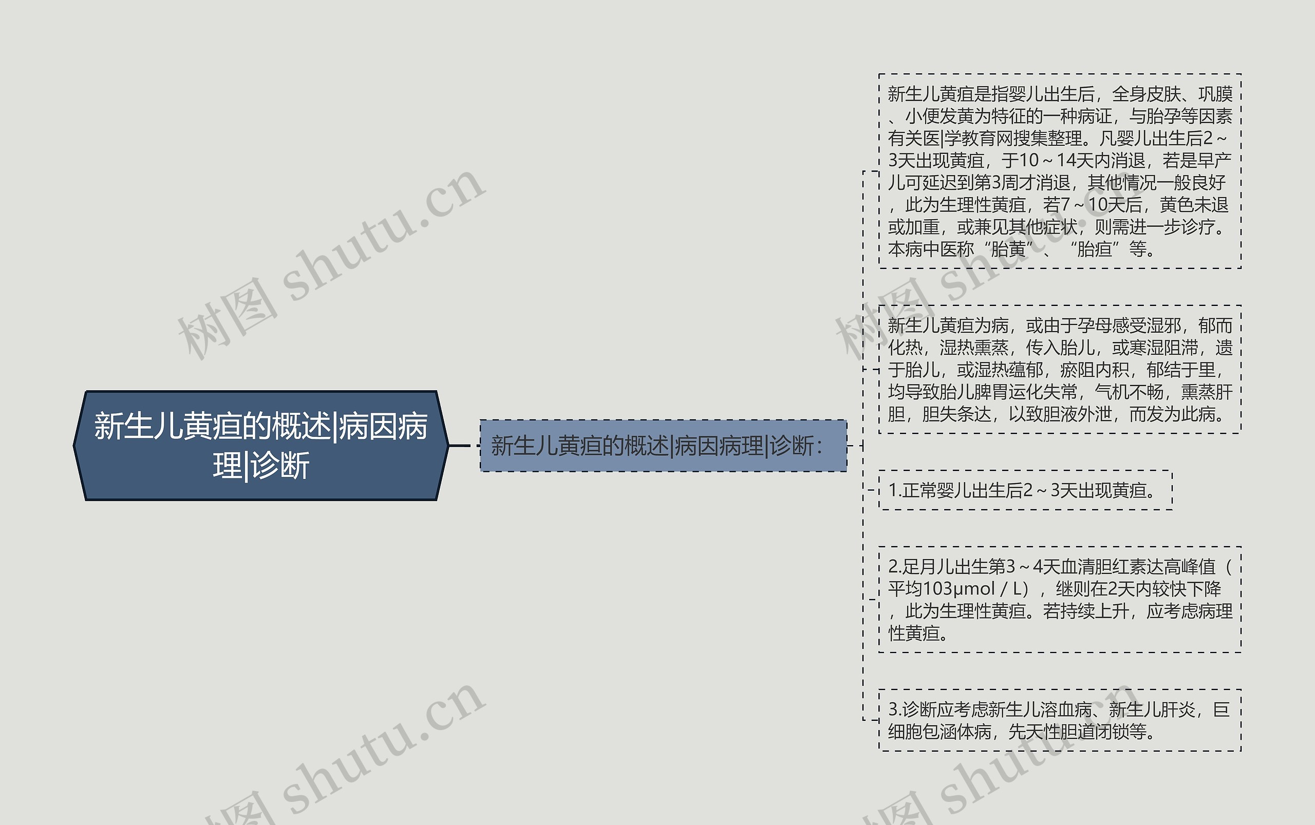 新生儿黄疸的概述|病因病理|诊断思维导图