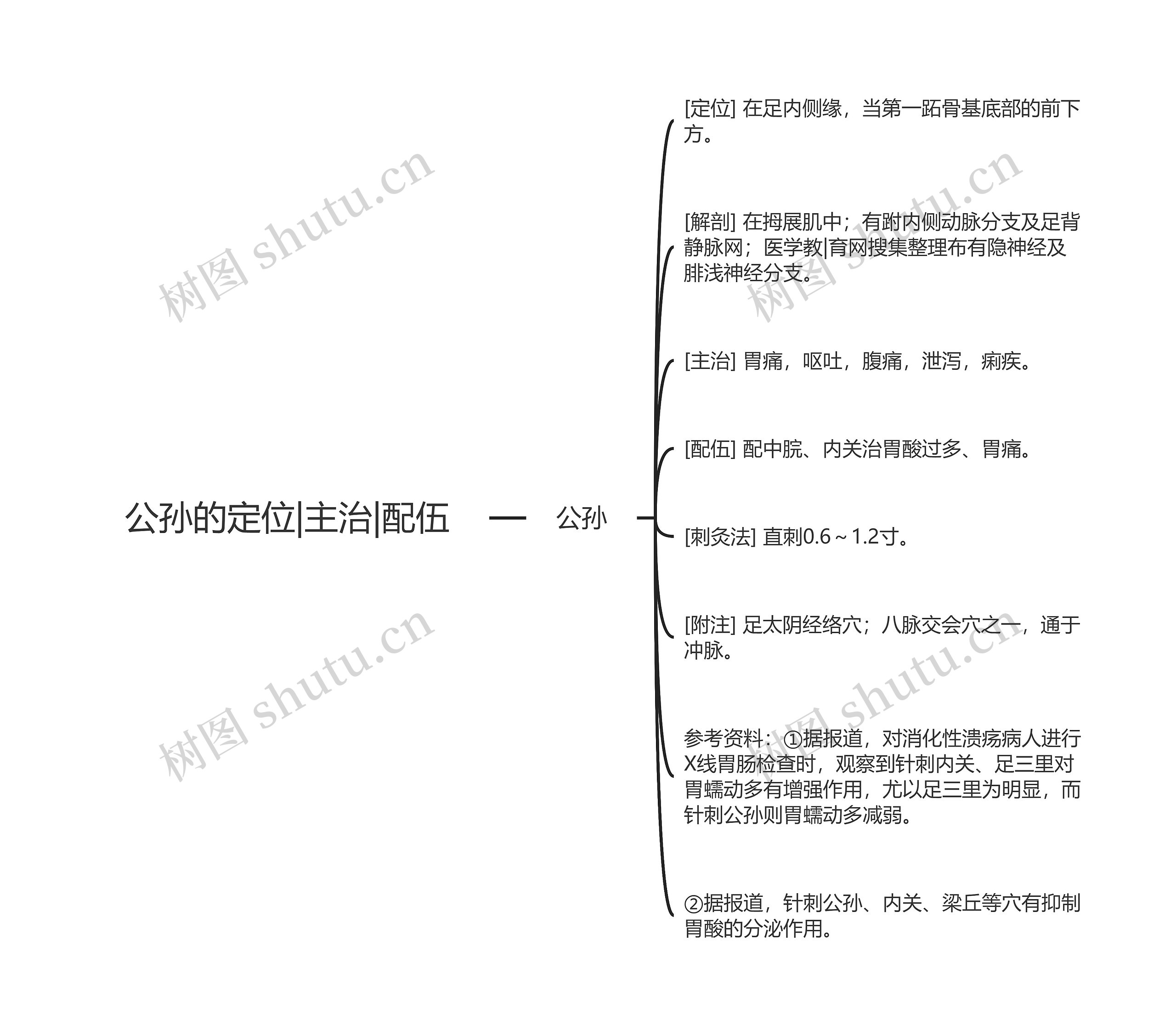 公孙的定位|主治|配伍