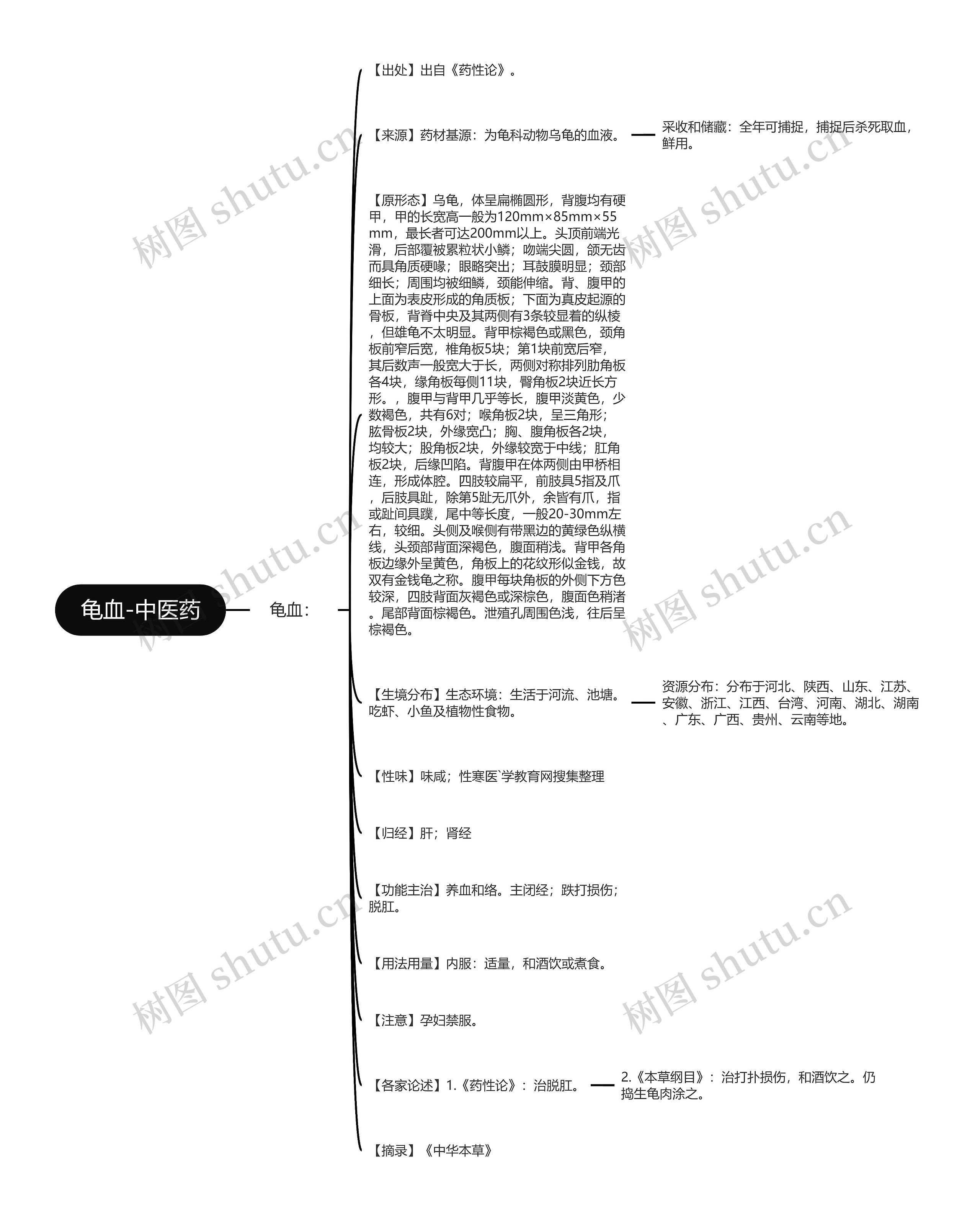 龟血-中医药思维导图