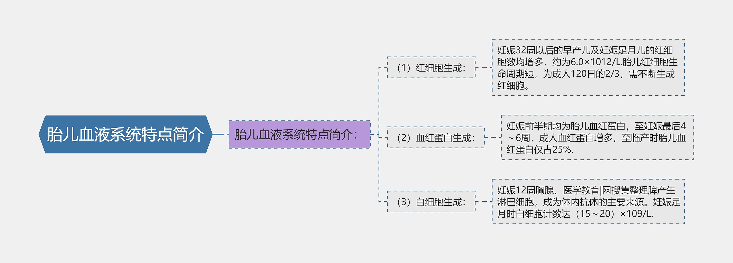 胎儿血液系统特点简介