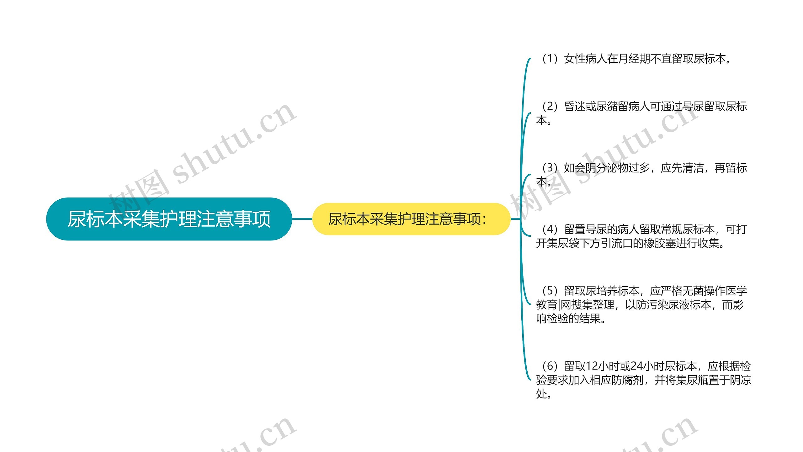 尿标本采集护理注意事项思维导图