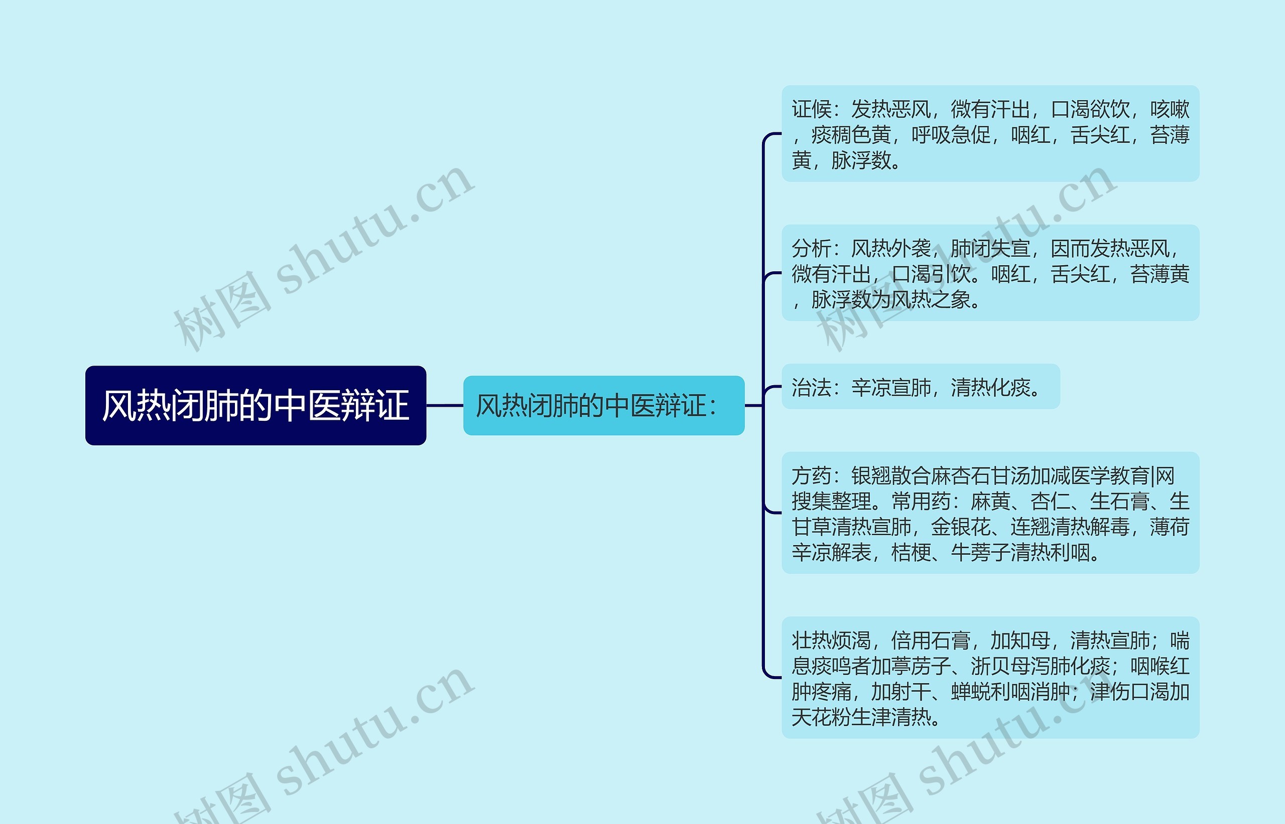 风热闭肺的中医辩证