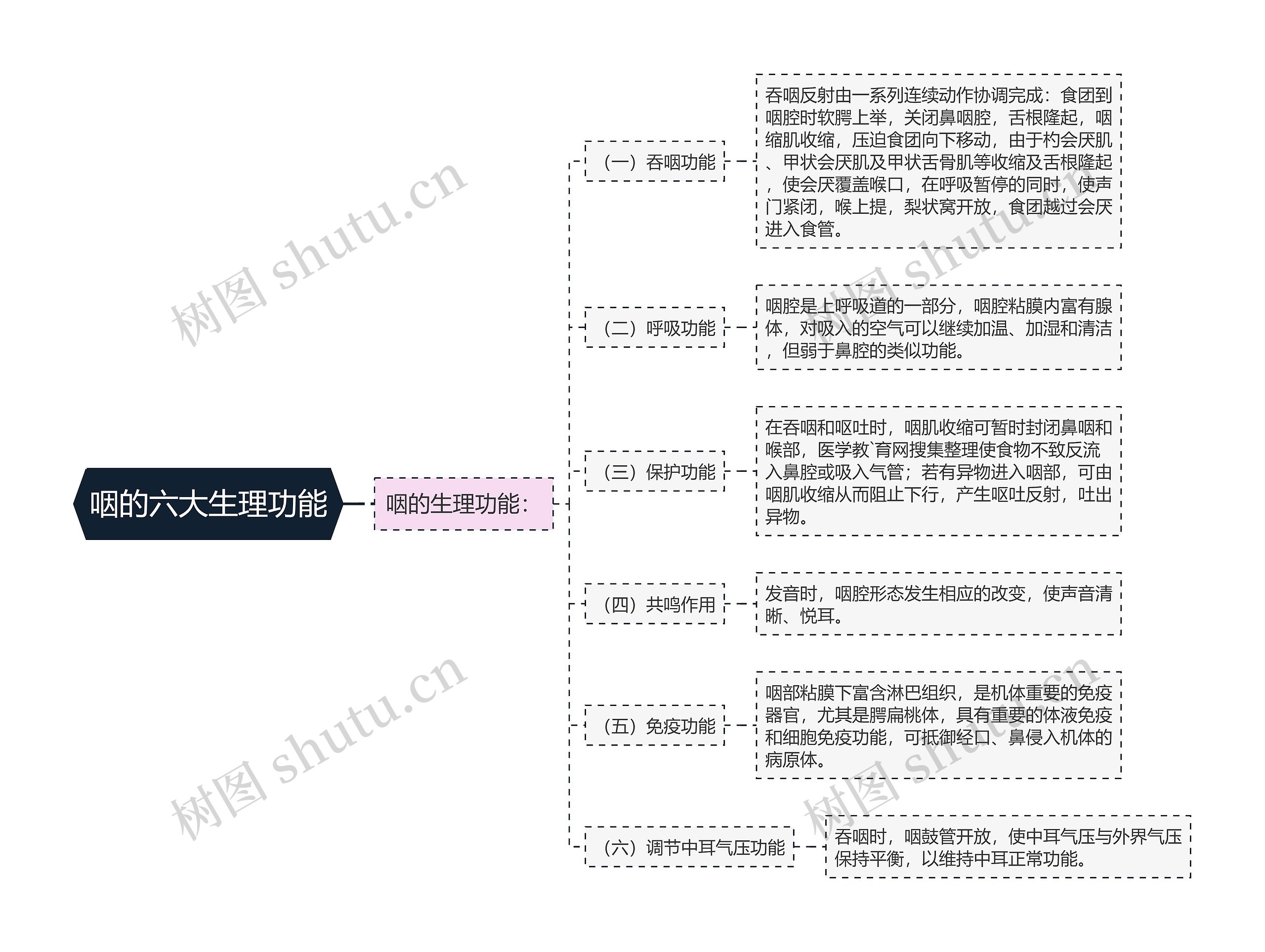 咽的六大生理功能思维导图