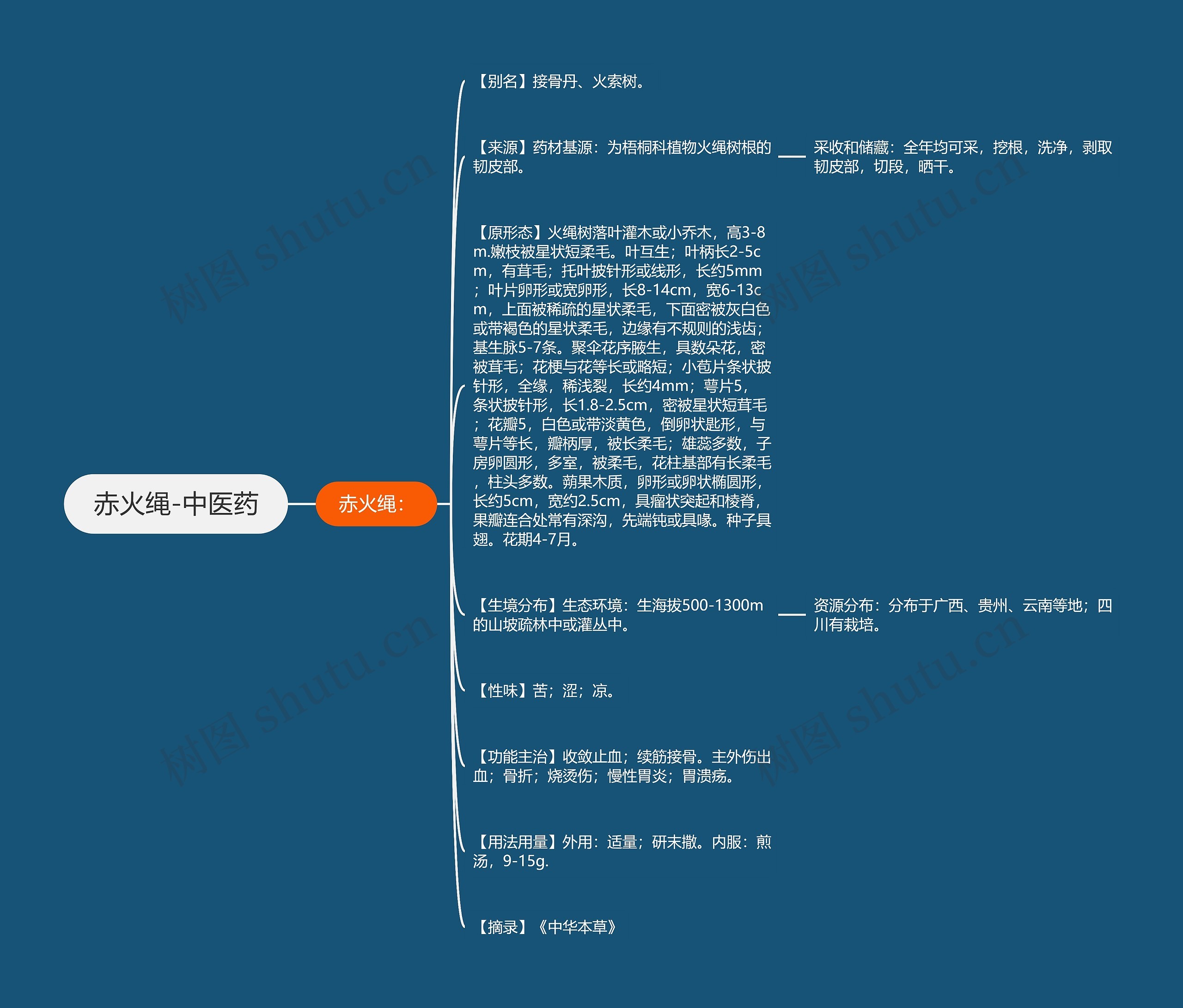 赤火绳-中医药思维导图