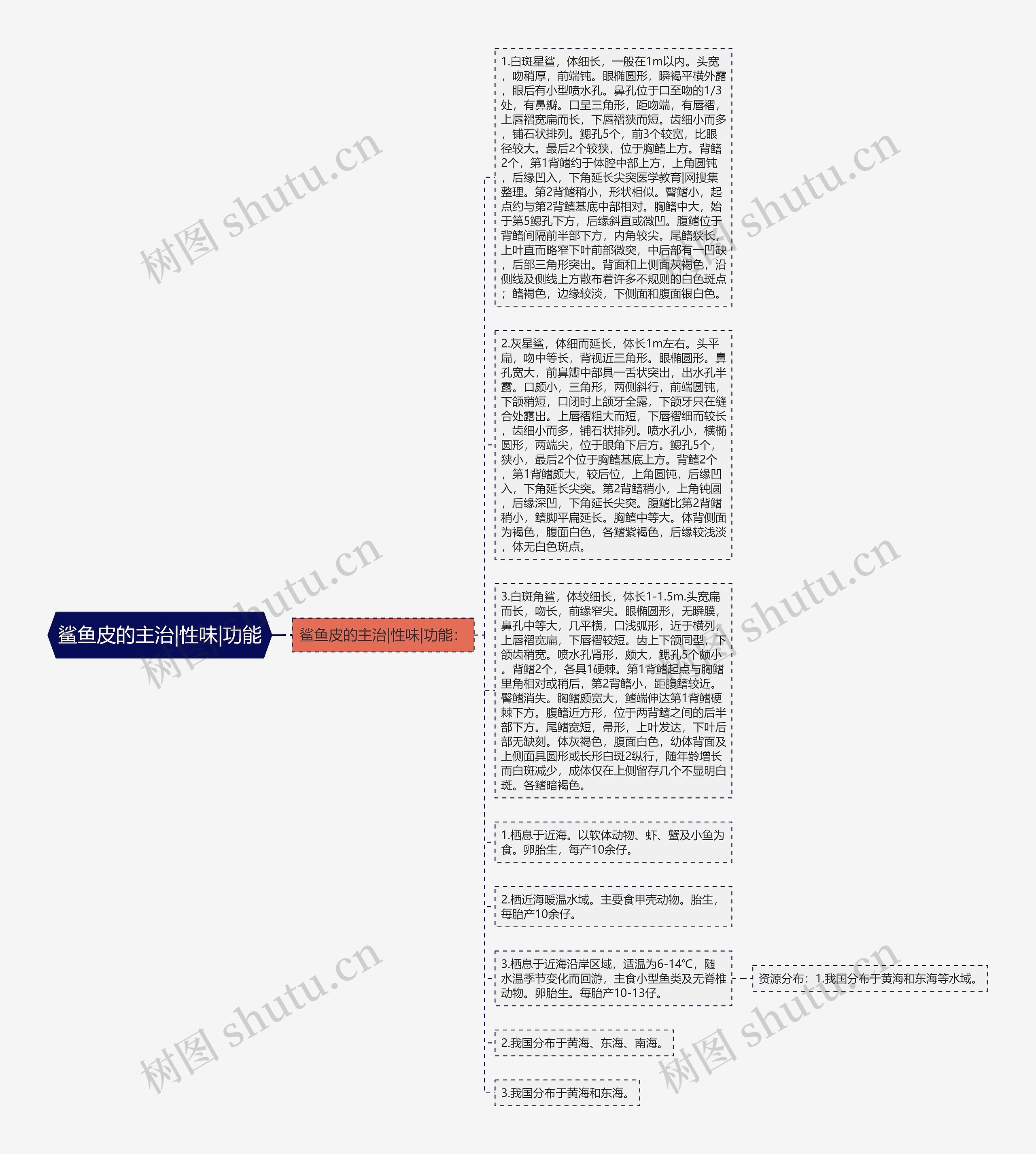 鲨鱼皮的主治|性味|功能思维导图