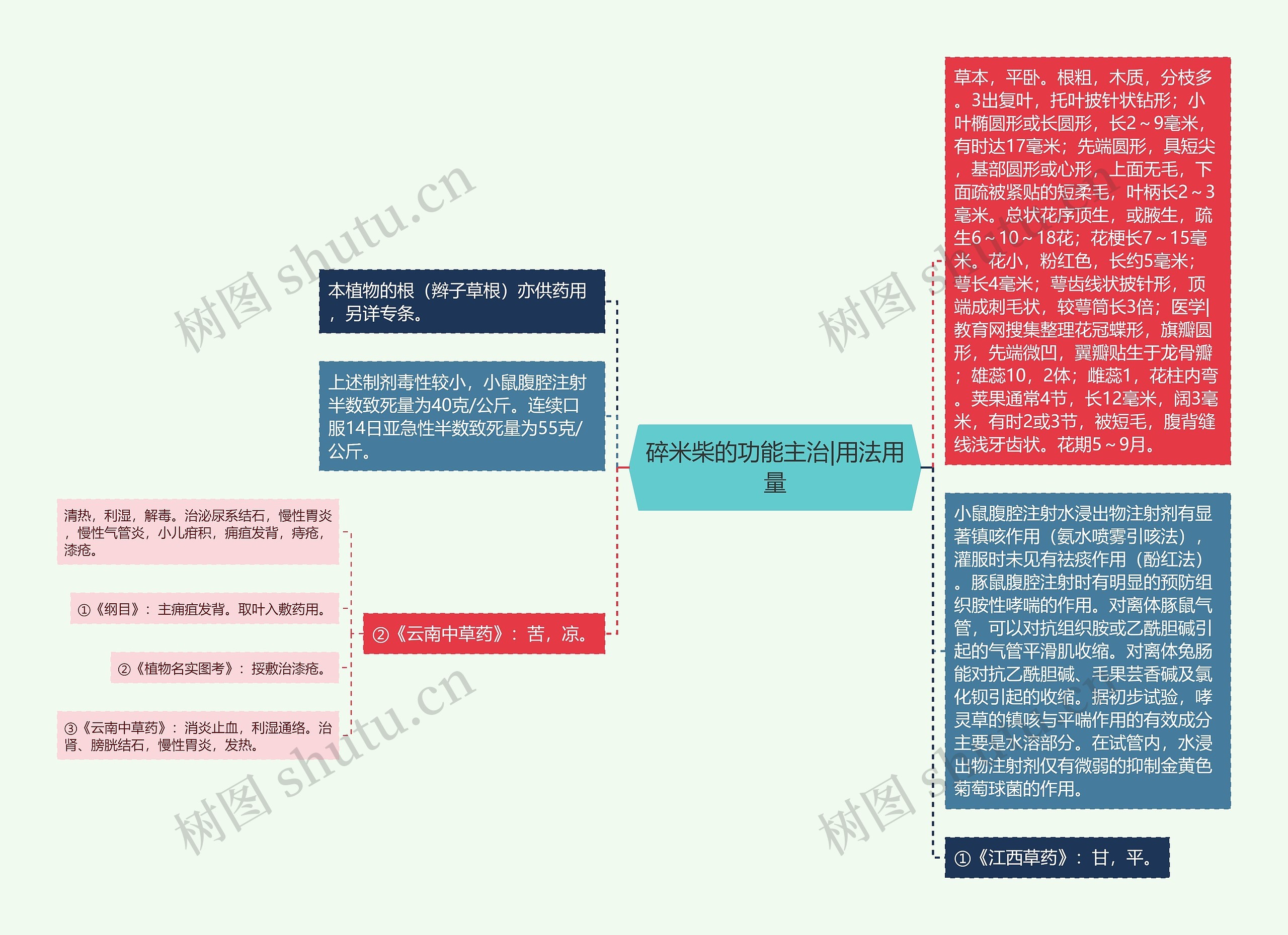 碎米柴的功能主治|用法用量