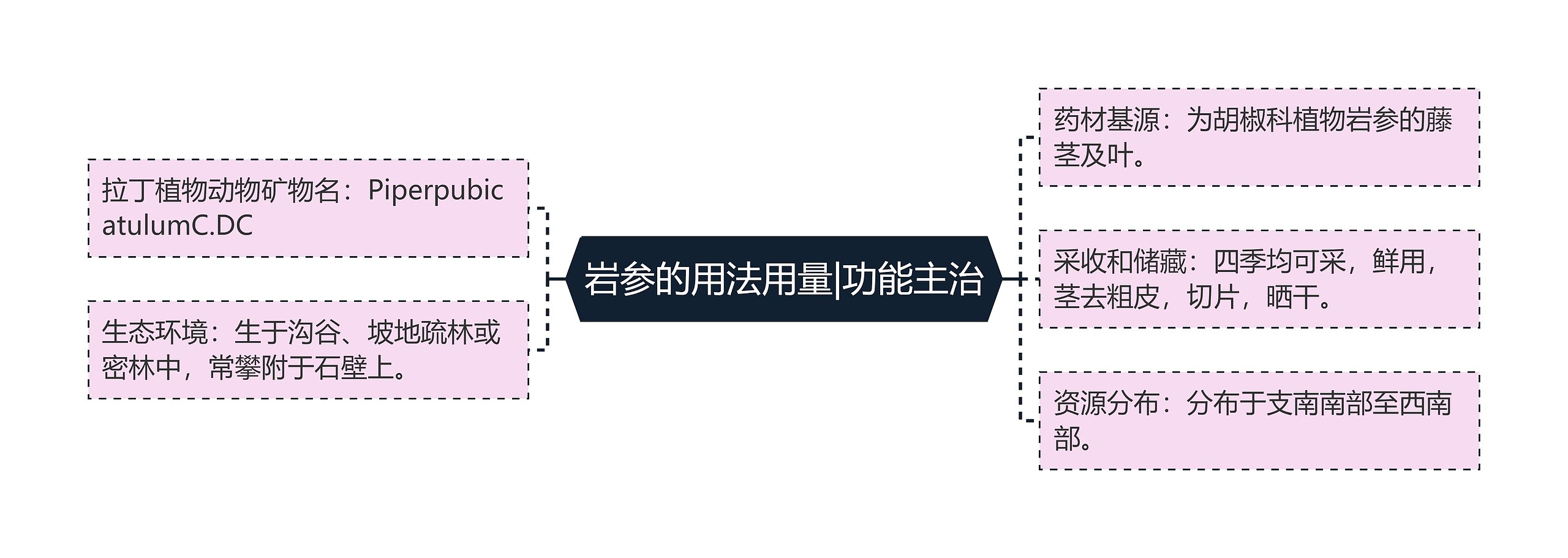 岩参的用法用量|功能主治思维导图