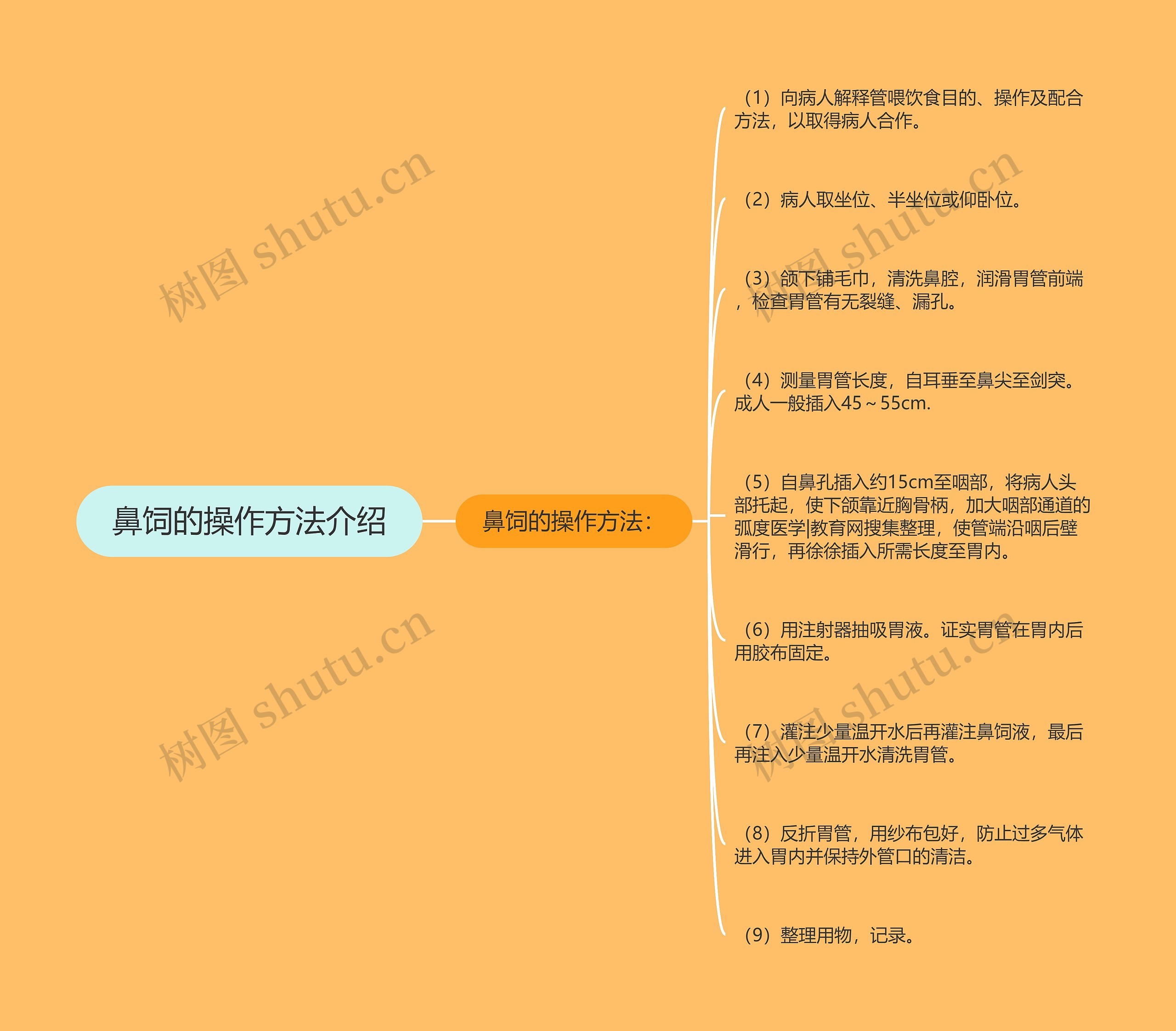 鼻饲的操作方法介绍思维导图