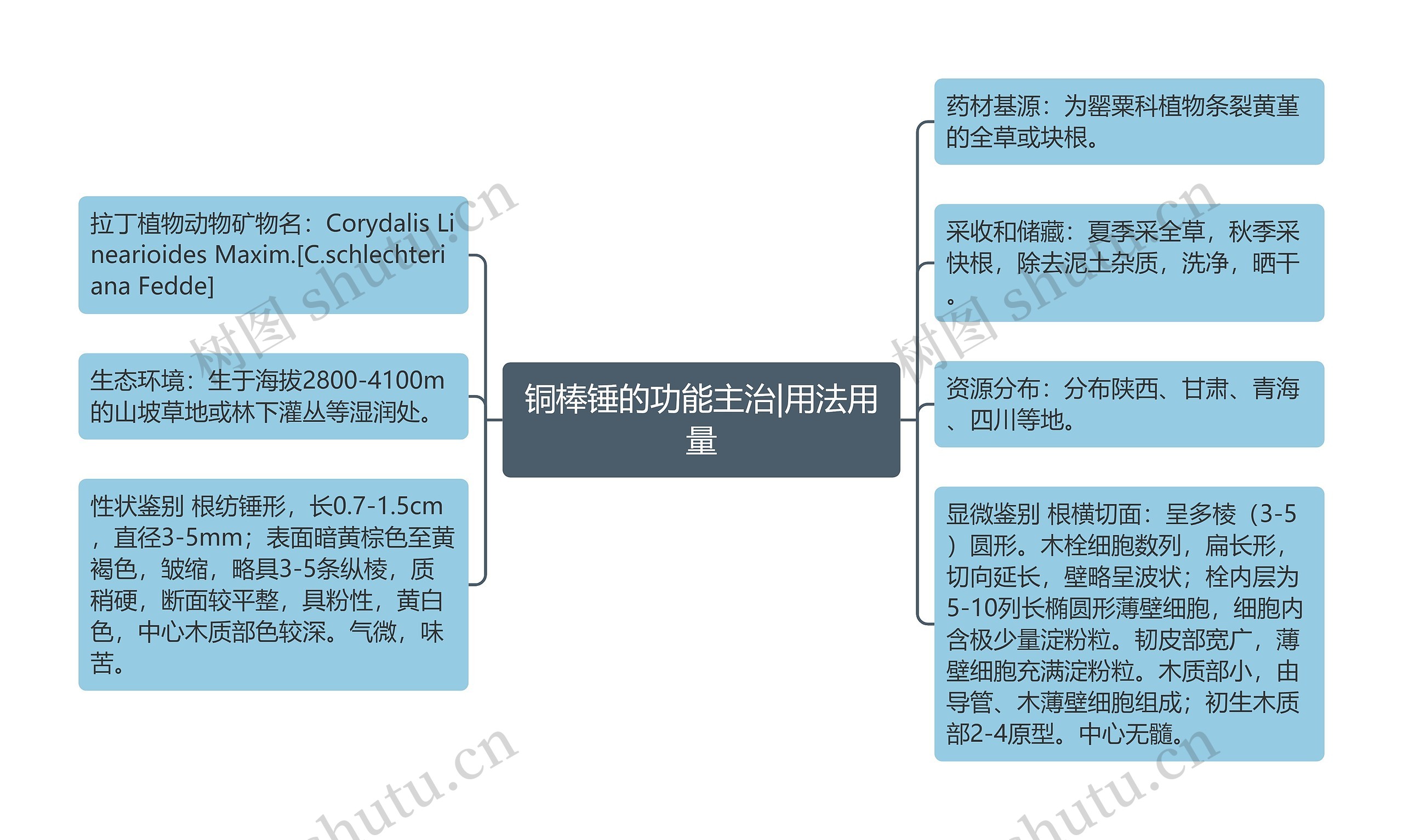 铜棒锤的功能主治|用法用量思维导图