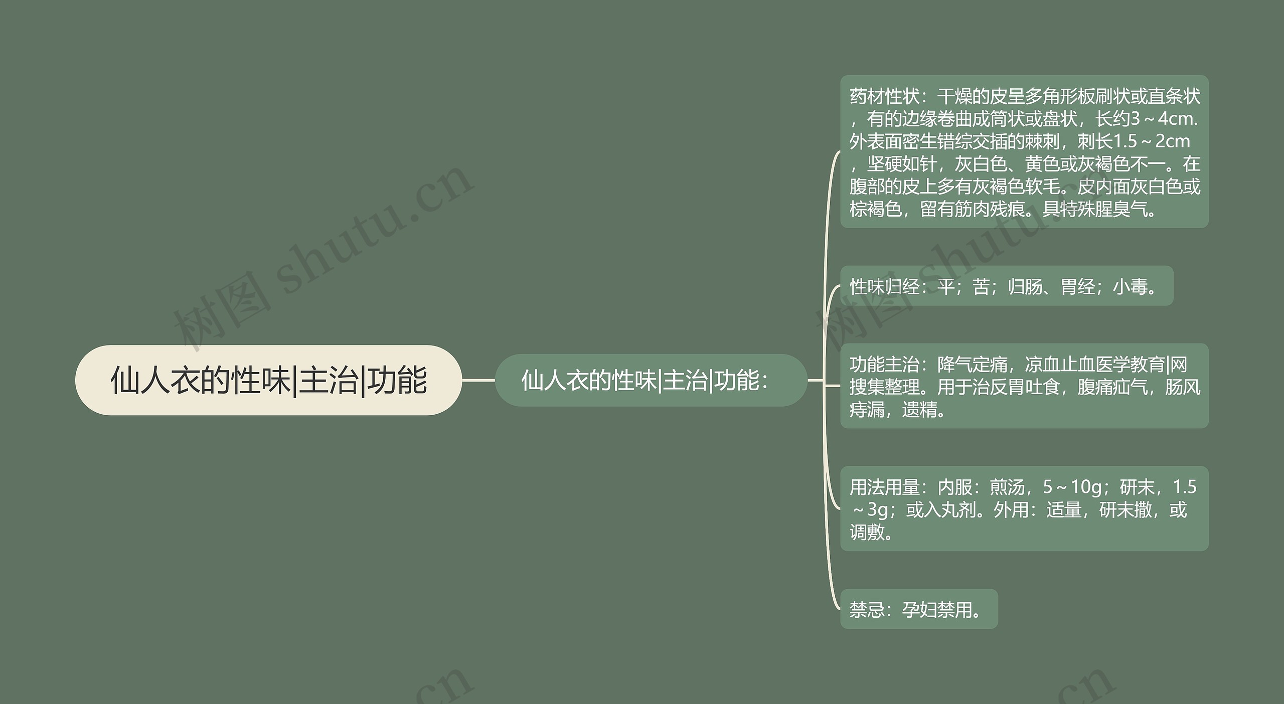 仙人衣的性味|主治|功能 仙人衣的性味|主治|功能