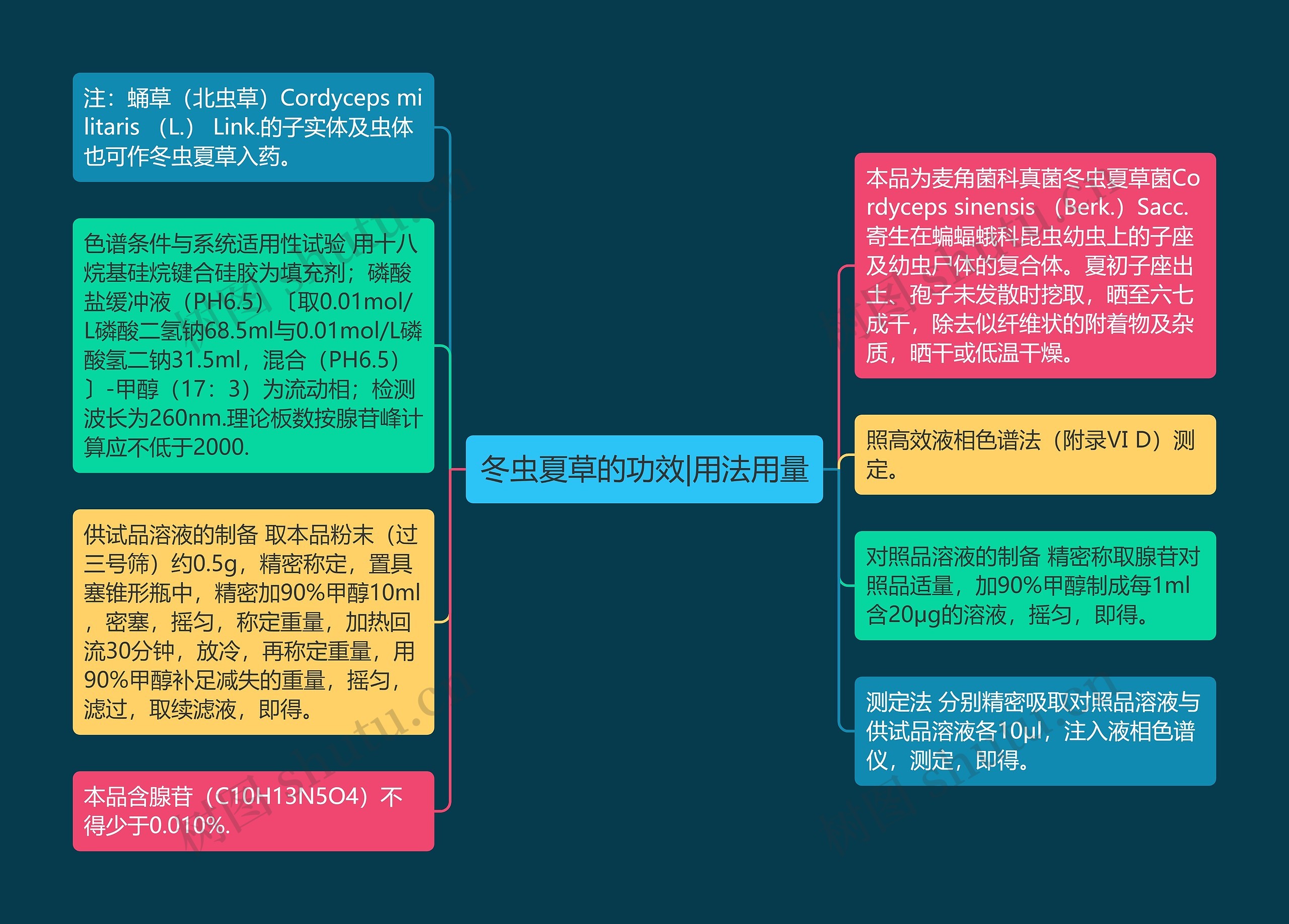 冬虫夏草的功效|用法用量思维导图