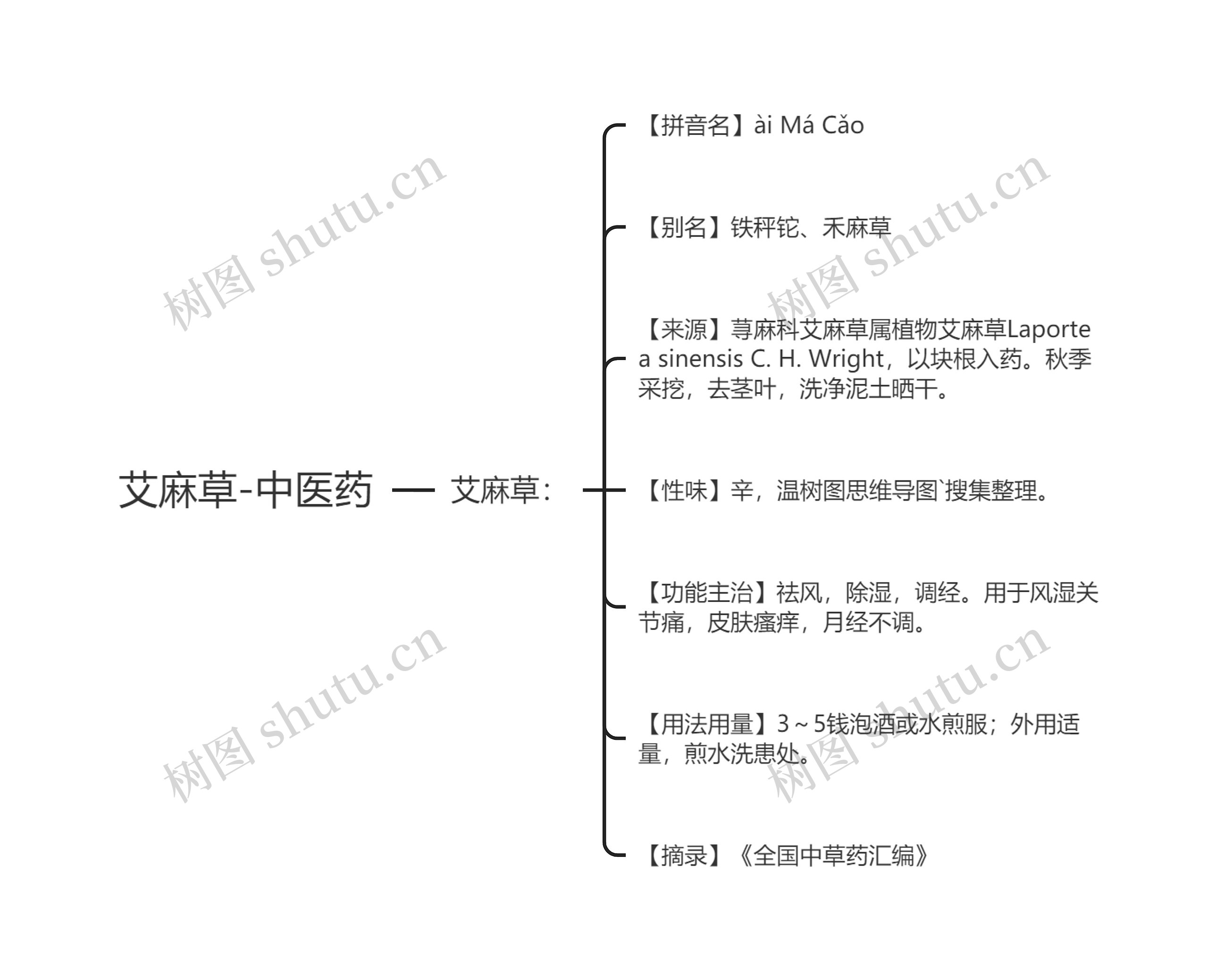 艾麻草-中医药 艾麻草-中医药