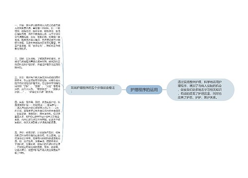 护理程序的运用