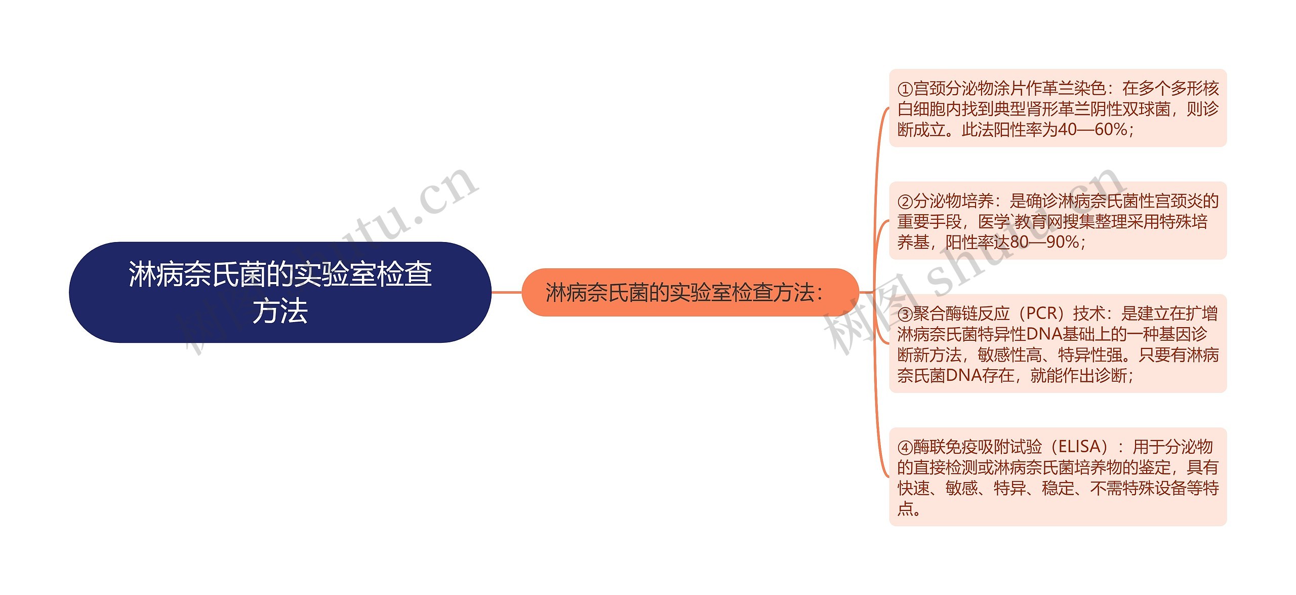 淋病奈氏菌的实验室检查方法思维导图