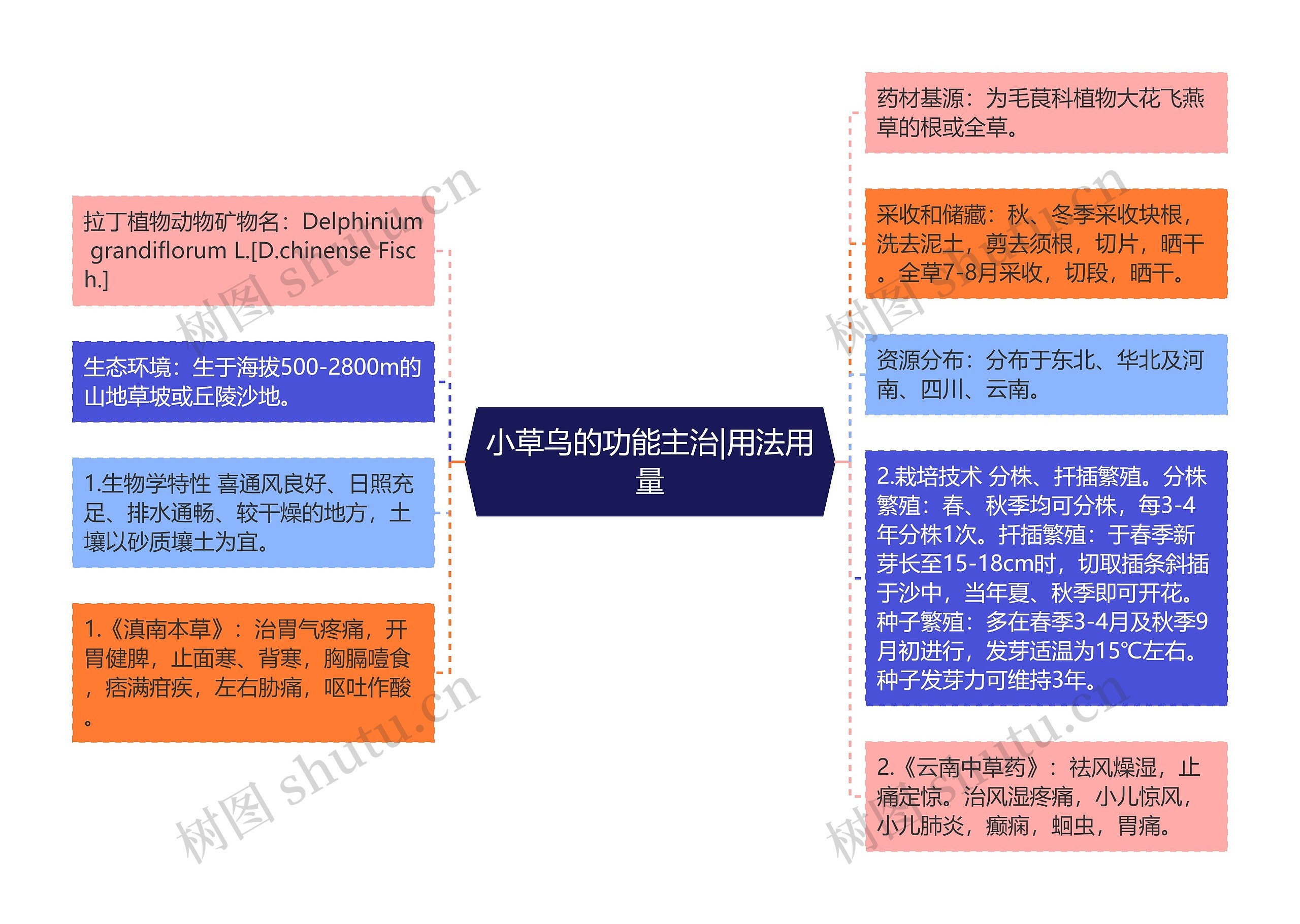 小草乌的功能主治|用法用量