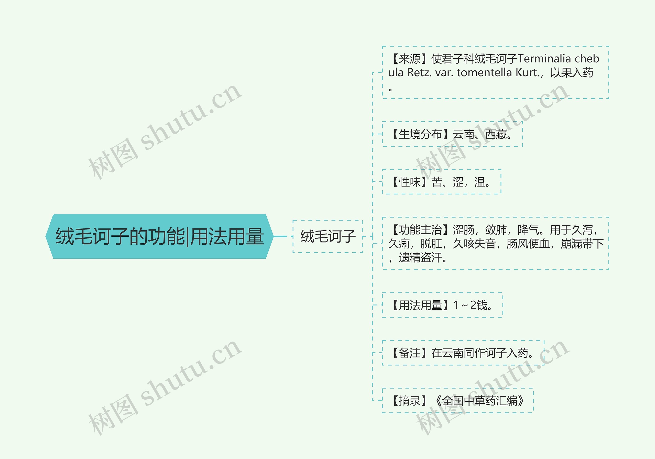 绒毛诃子的功能|用法用量