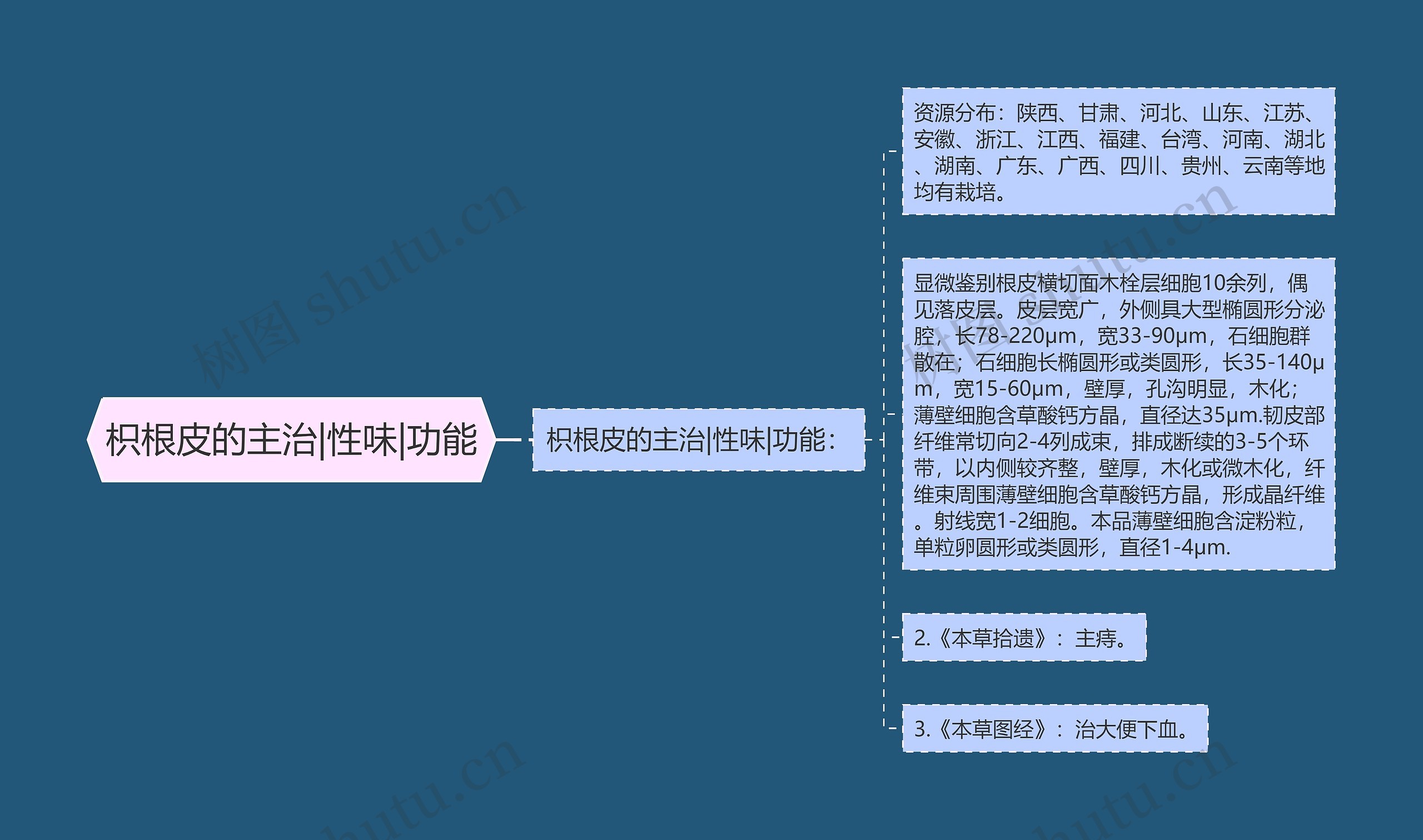 枳根皮的主治|性味|功能思维导图