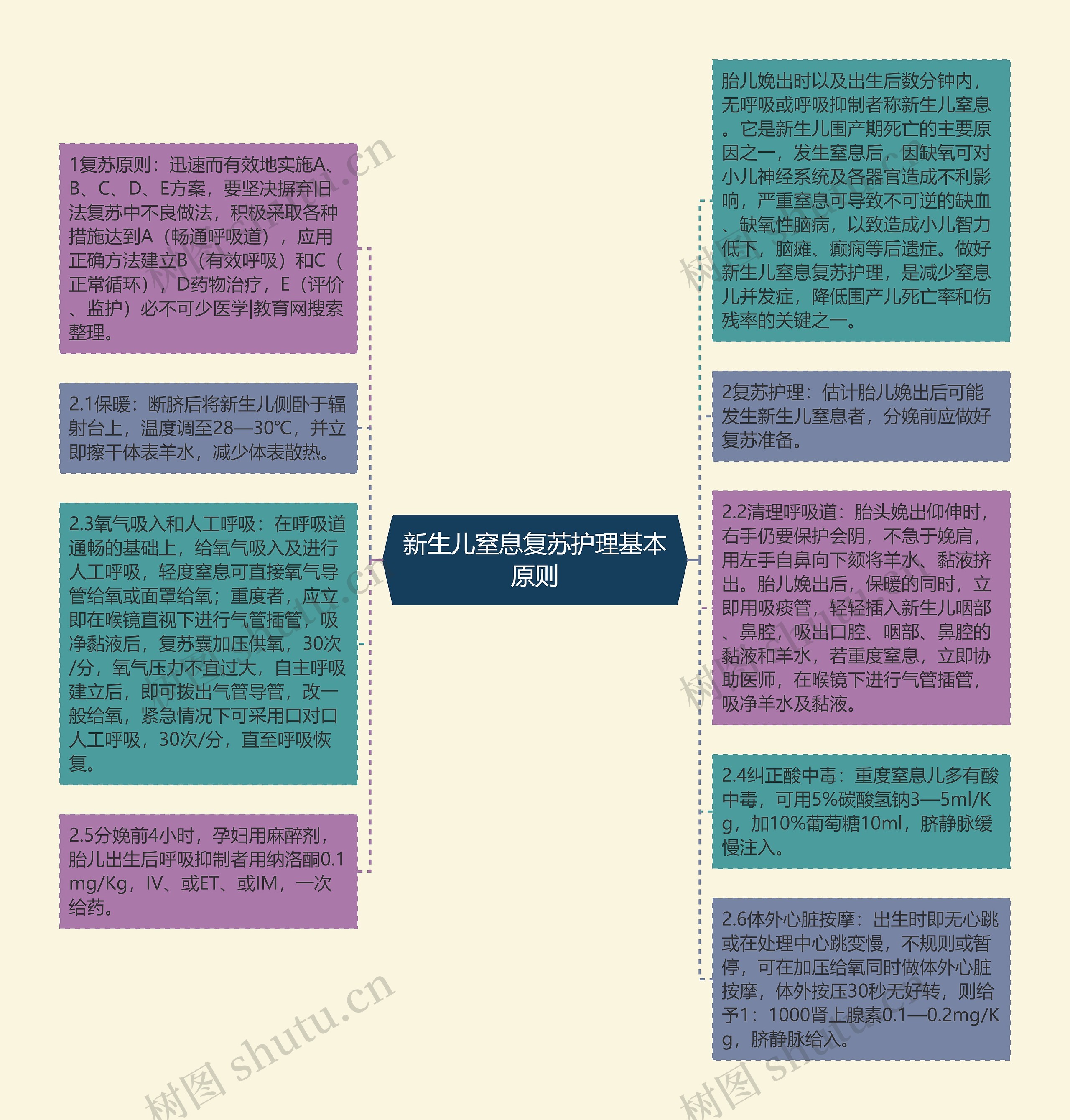 新生儿窒息复苏护理基本原则思维导图