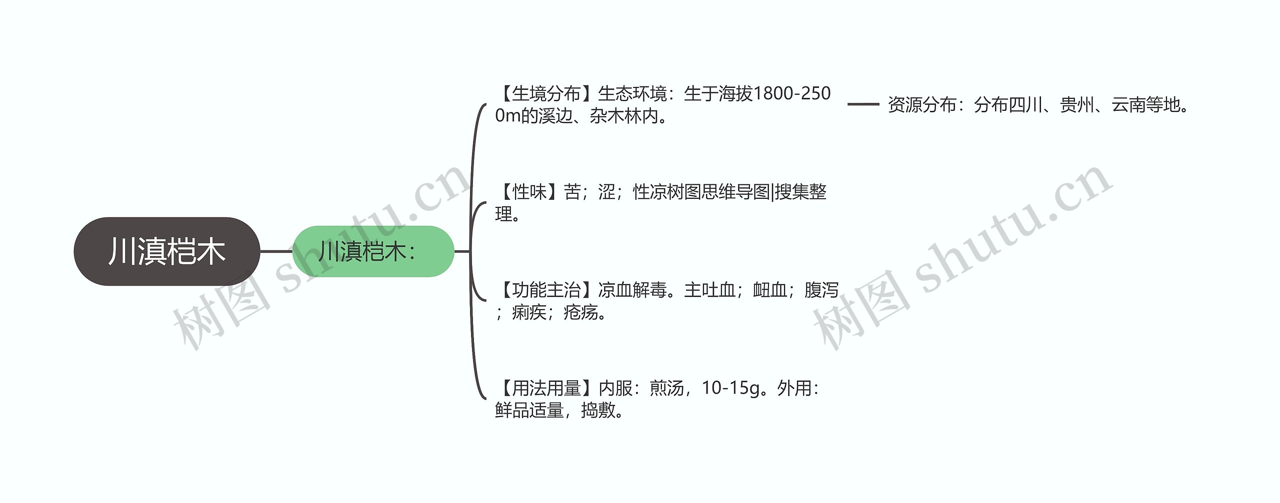 川滇桤木思维导图