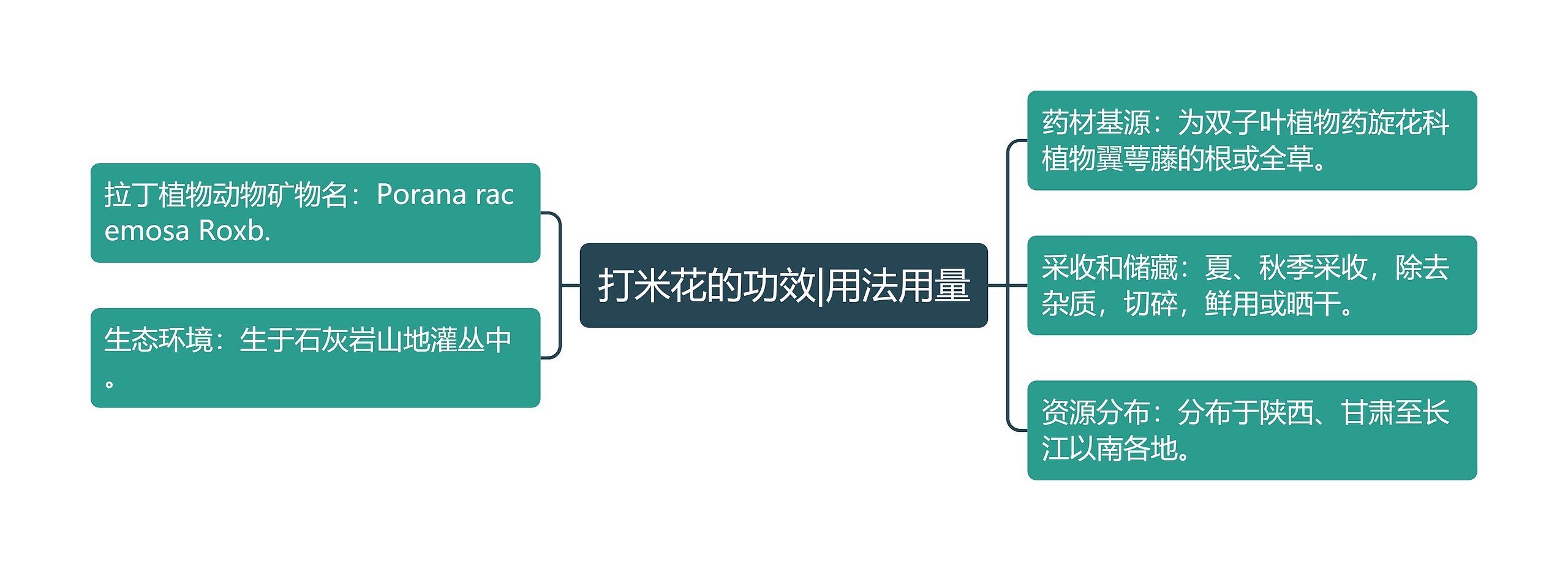 打米花的功效|用法用量思维导图