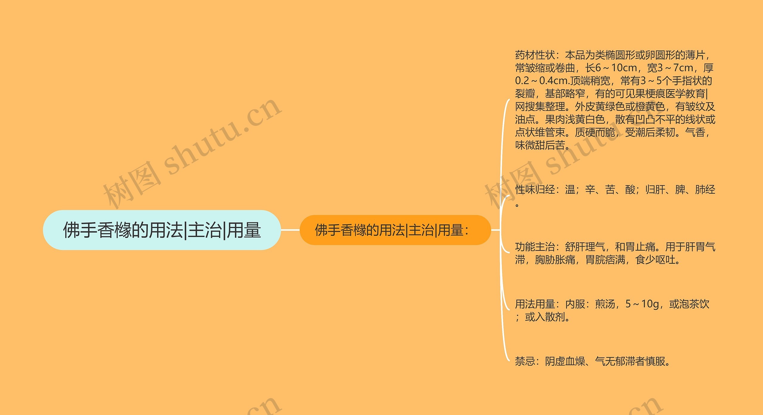 佛手香橼的用法|主治|用量思维导图