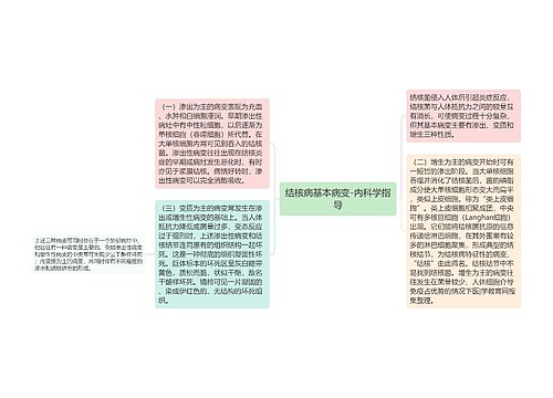 结核病基本病变-内科学指导