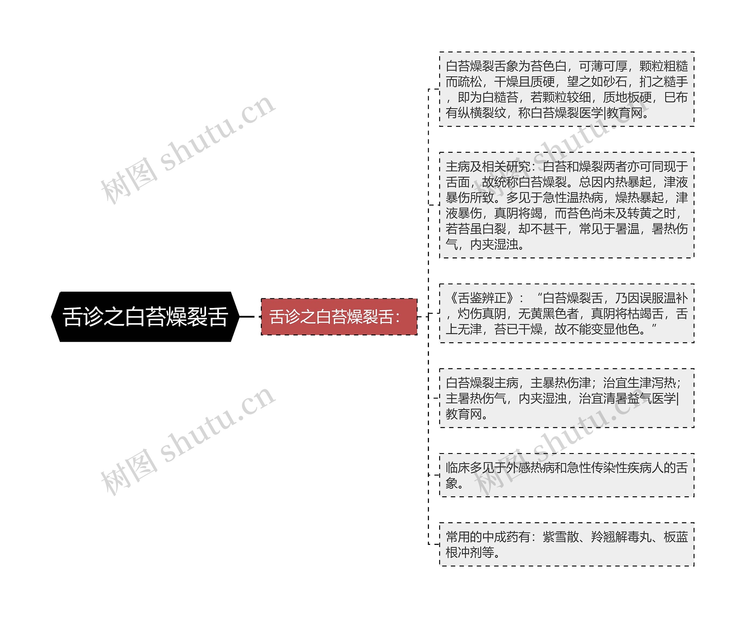 舌诊之白苔燥裂舌思维导图