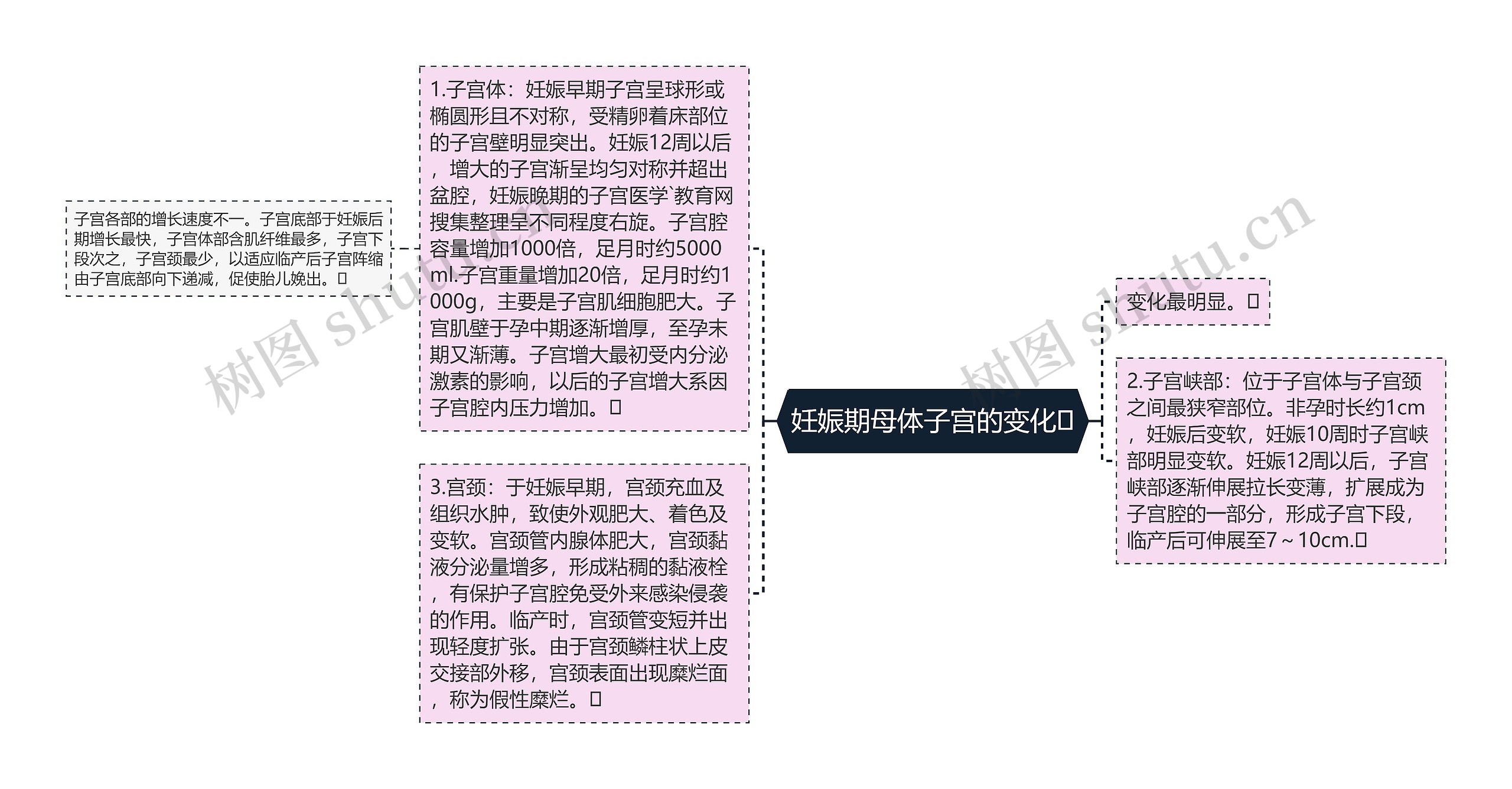 妊娠期母体子宫的变化思维导图