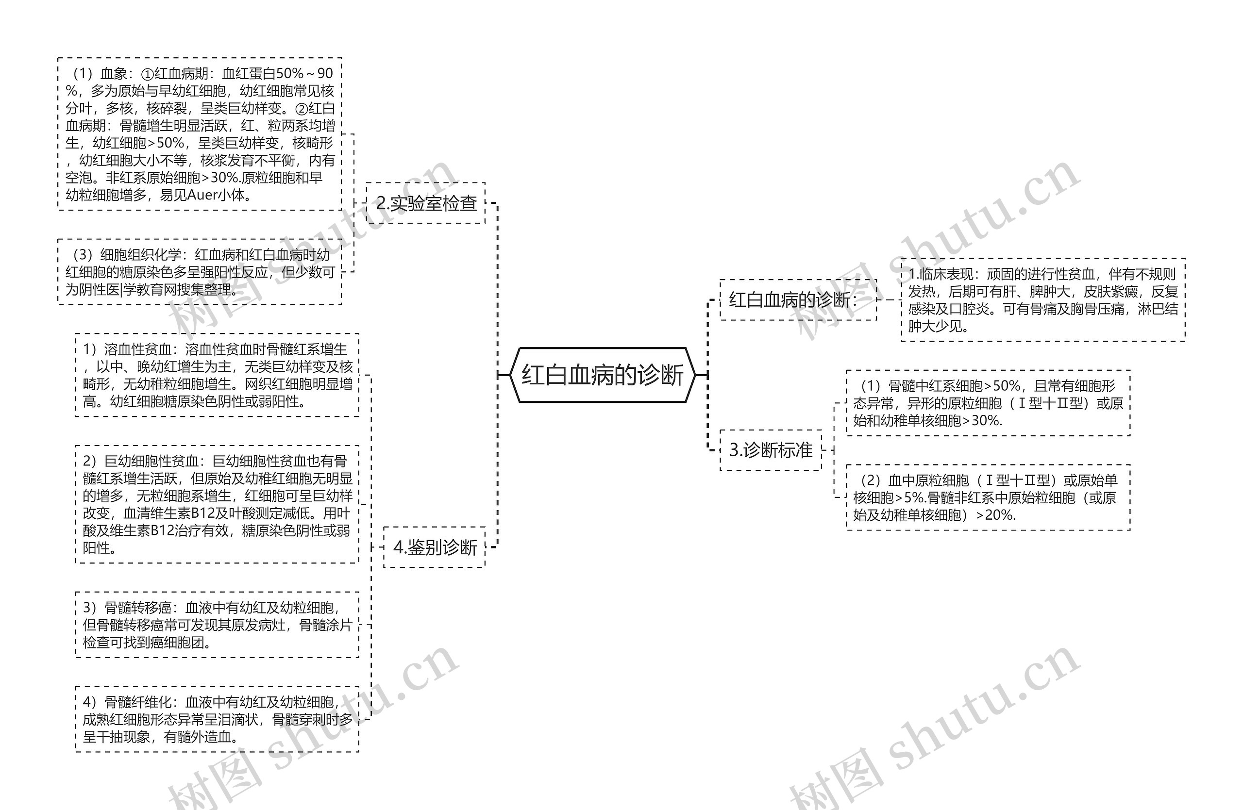 红白血病的诊断思维导图