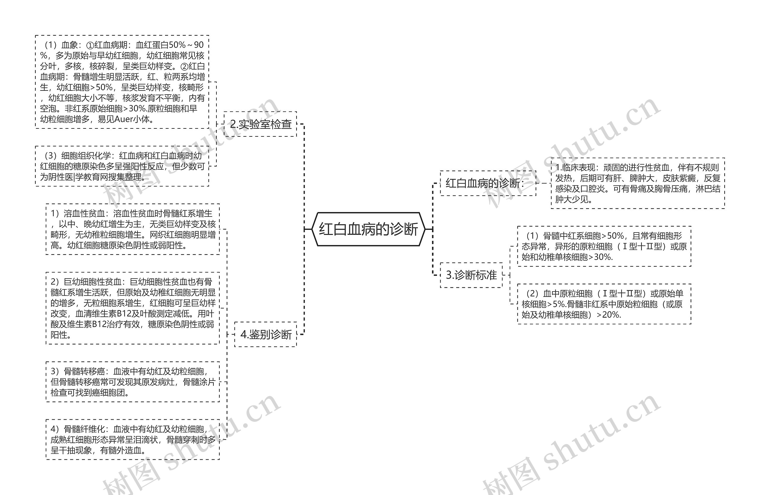 红白血病的诊断 红白血病的诊断