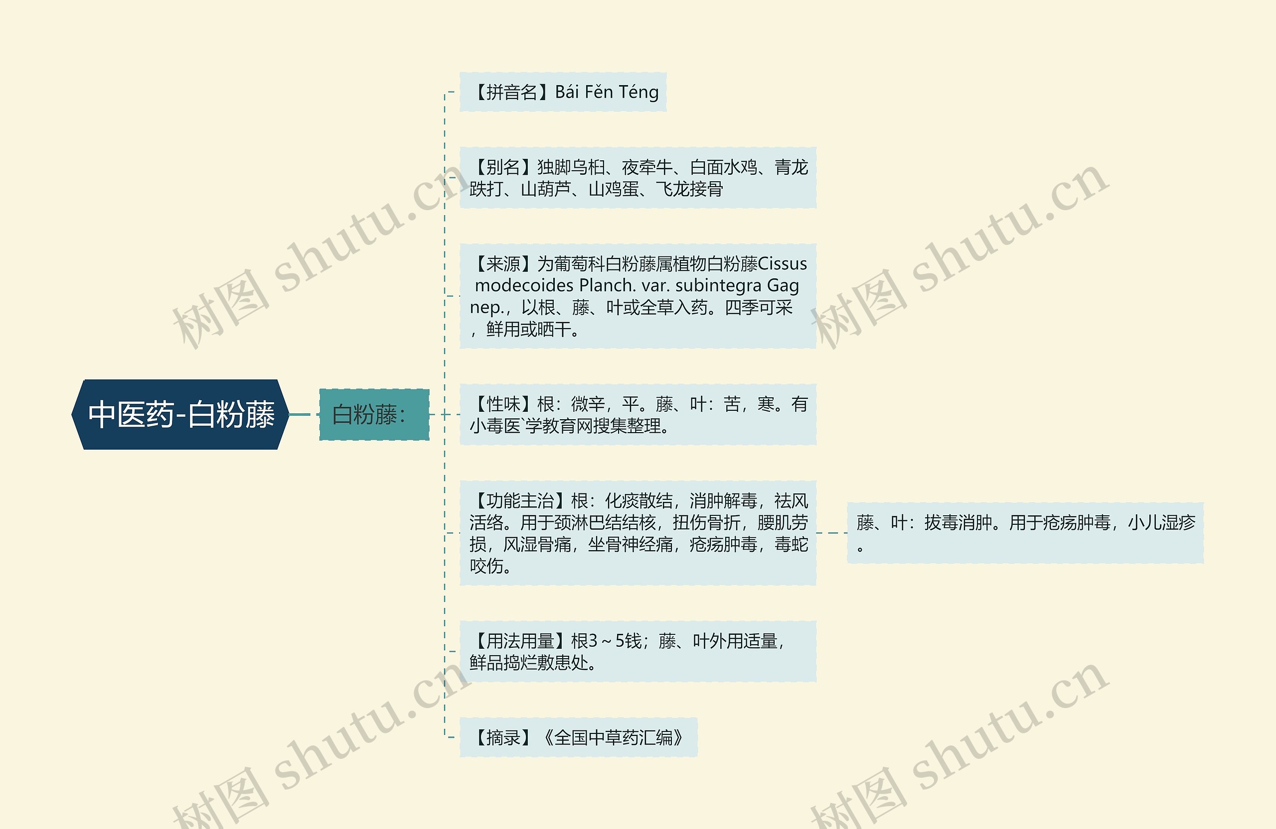 中医药-白粉藤思维导图