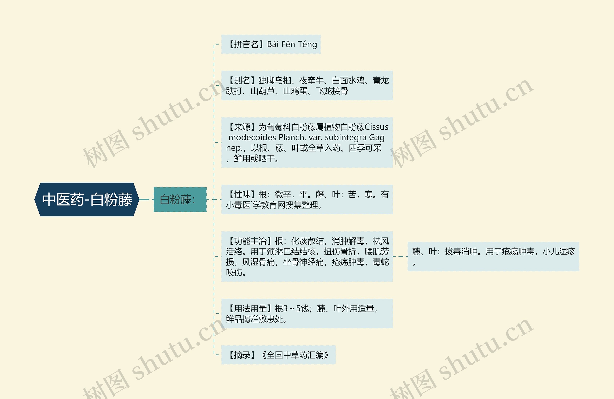 中医药-白粉藤 中医药-白粉藤