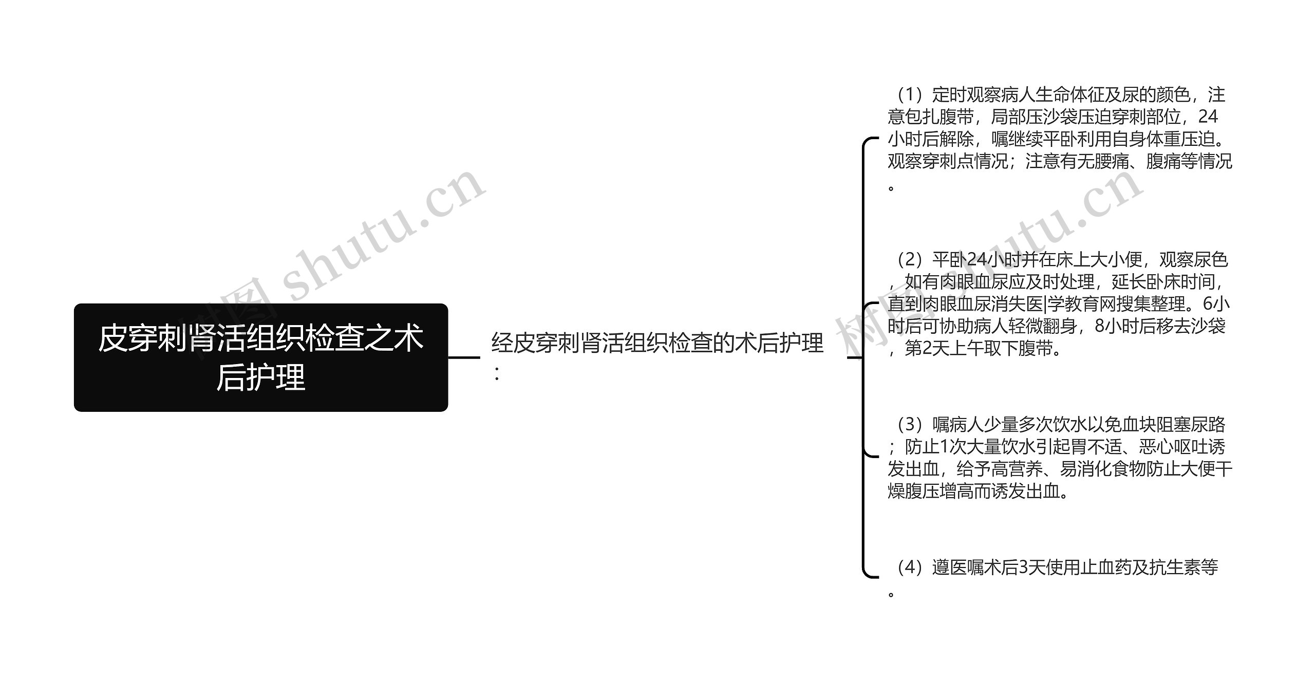 皮穿刺肾活组织检查之术后护理思维导图