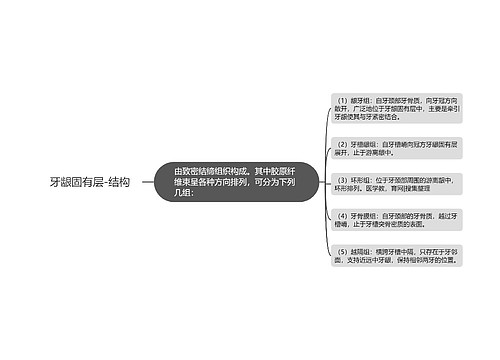 牙龈固有层-结构