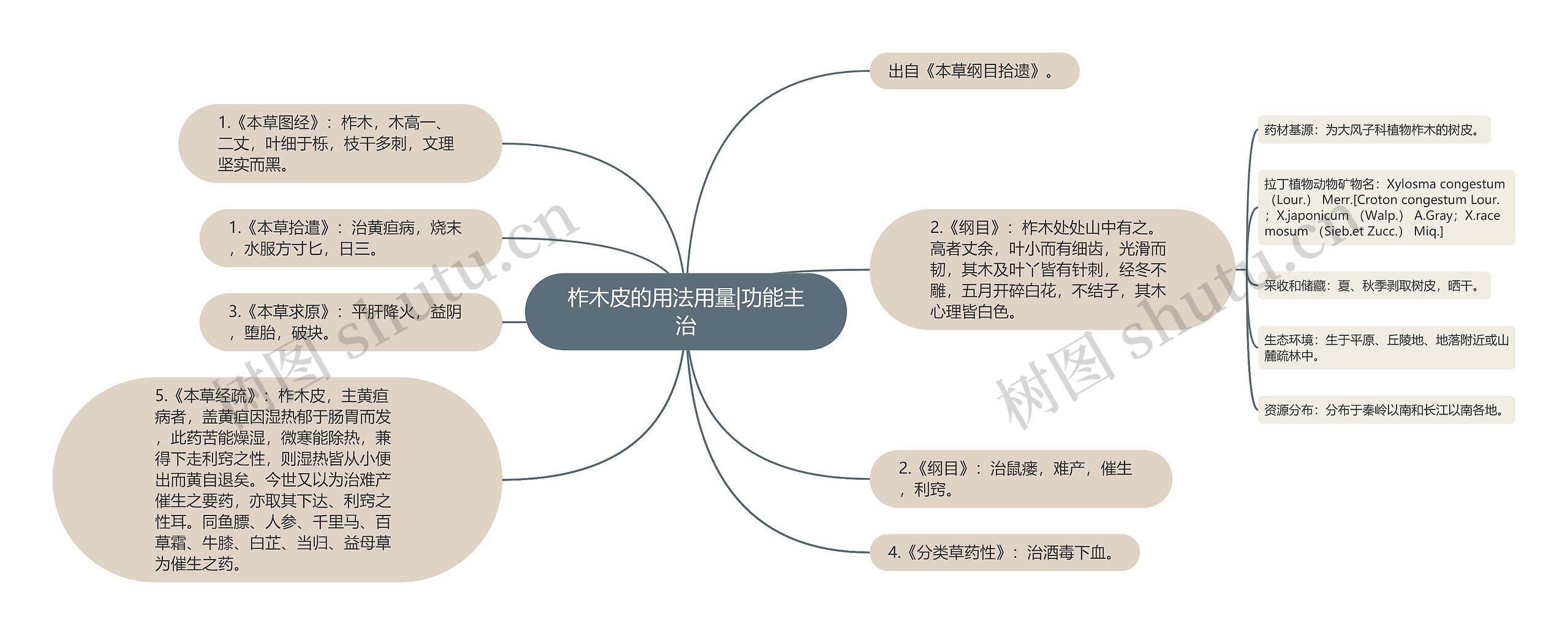 柞木皮的用法用量|功能主治