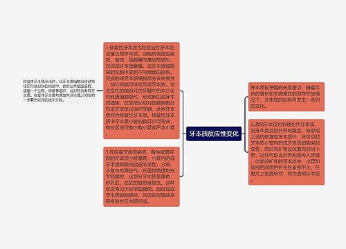 牙本质反应性变化