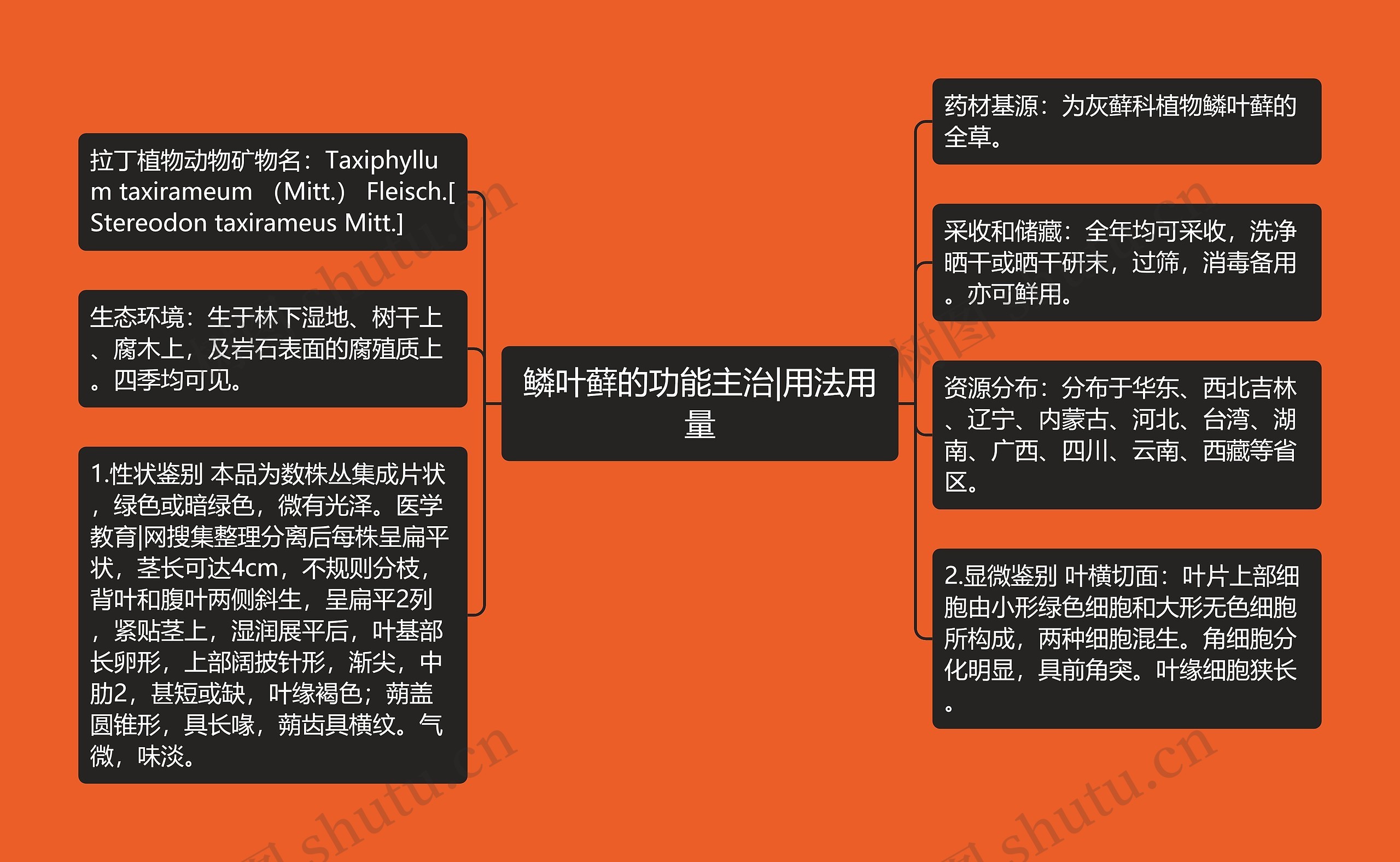 鳞叶藓的功能主治|用法用量