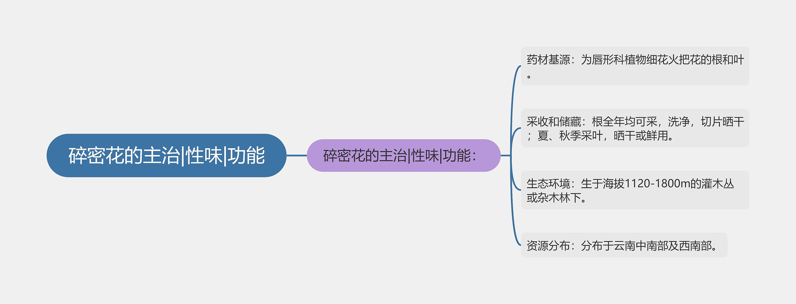 碎密花的主治|性味|功能思维导图