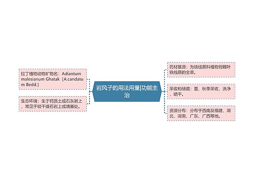 岩风子的用法用量|功能主治