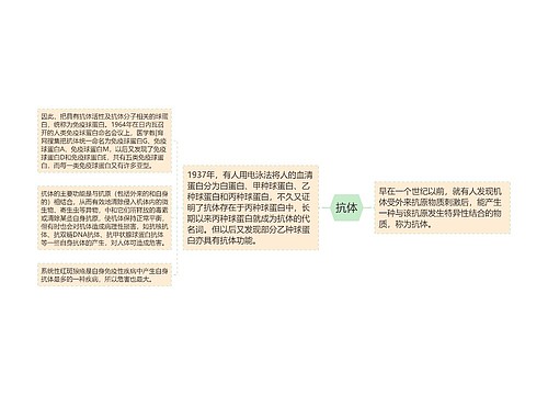 抗体