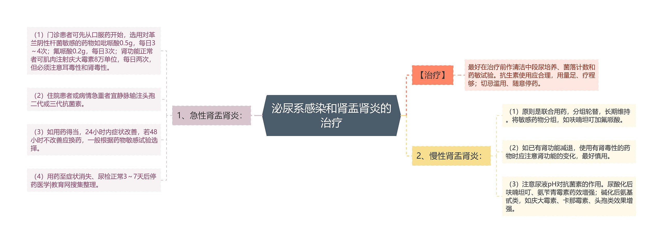 泌尿系感染和肾盂肾炎的治疗思维导图