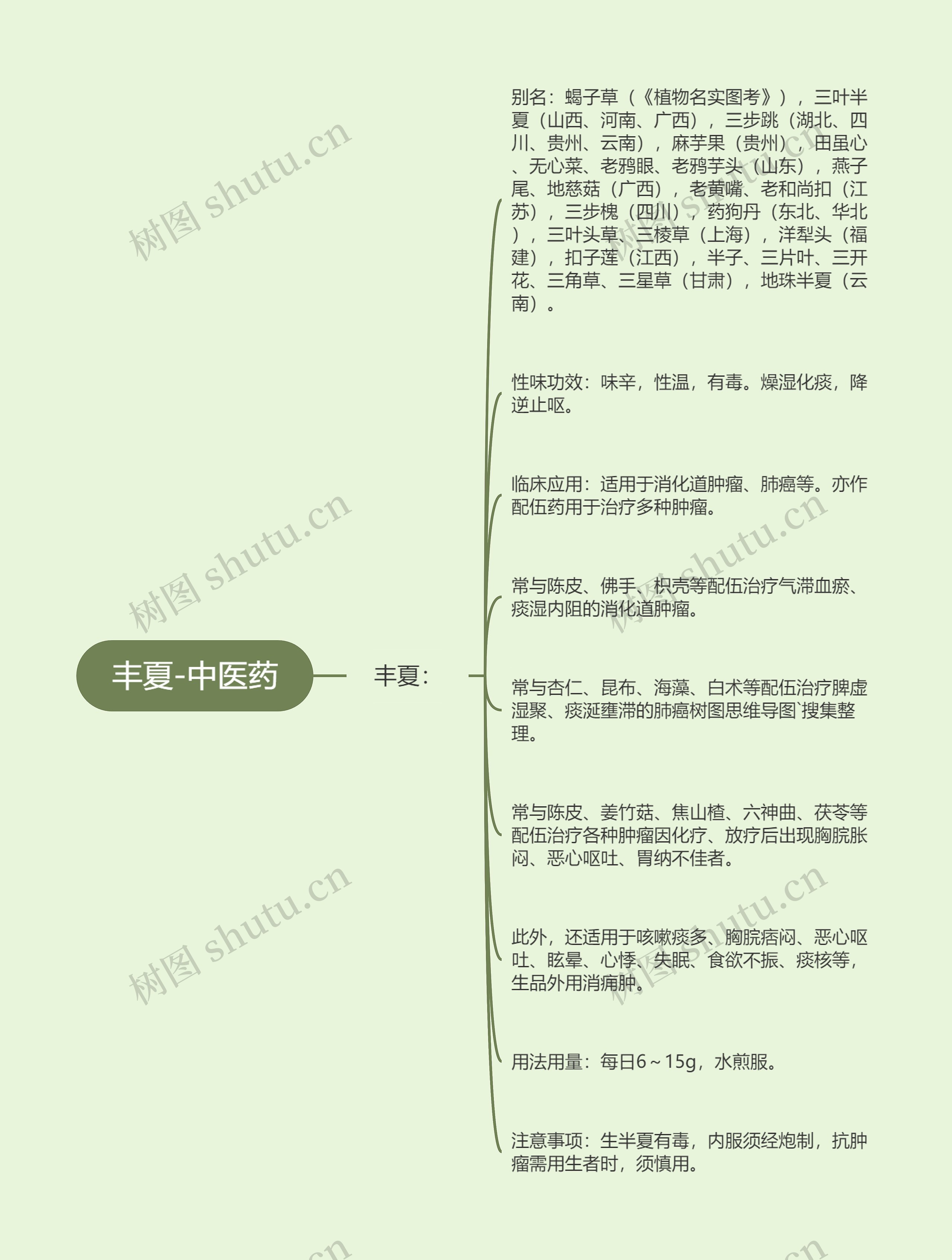 丰夏-中医药思维导图