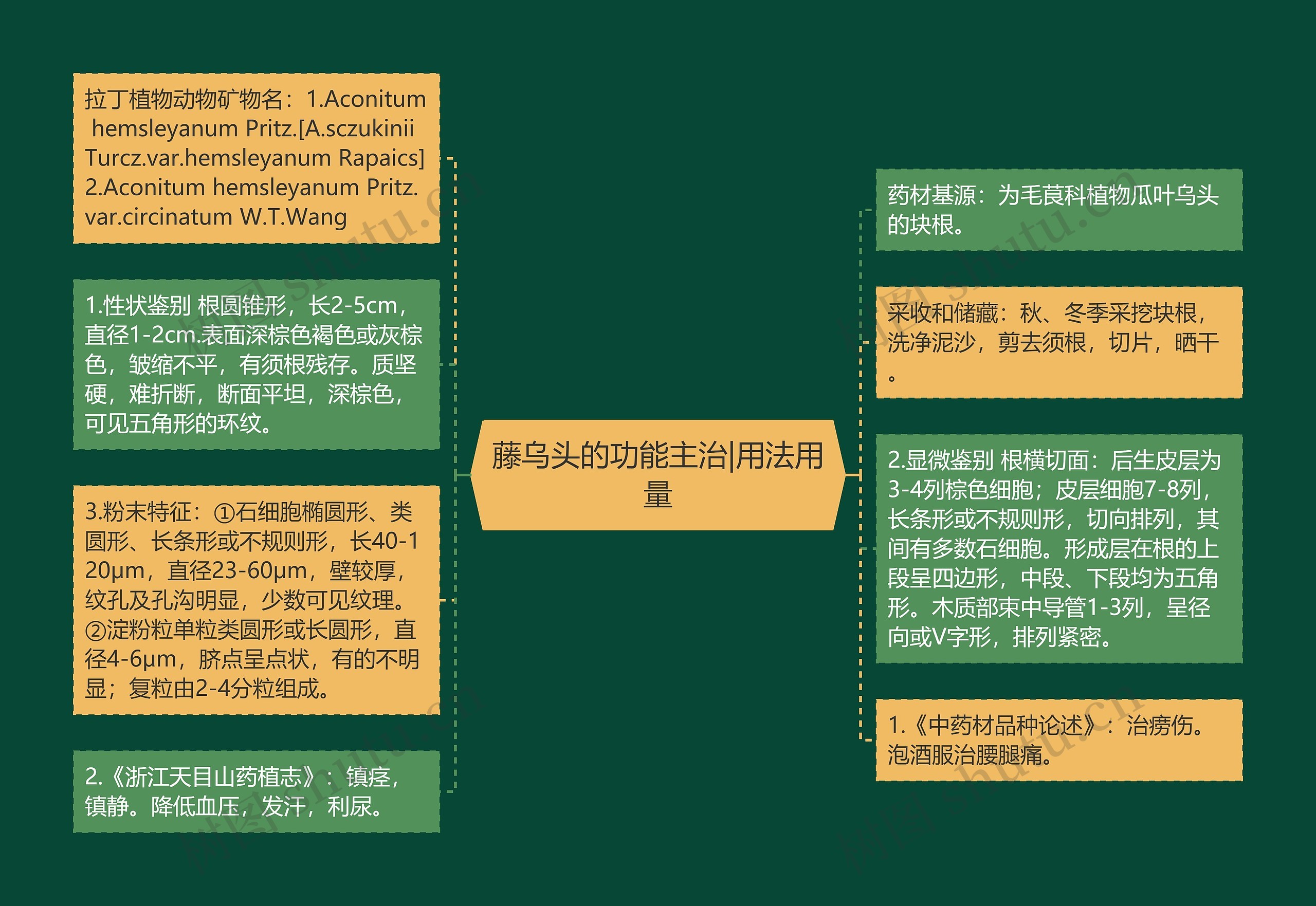 藤乌头的功能主治|用法用量思维导图