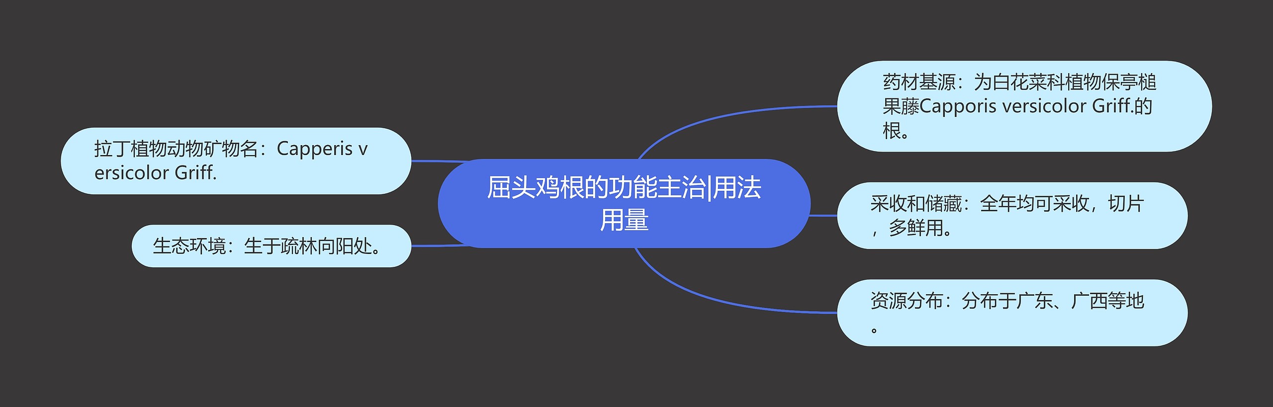 屈头鸡根的功能主治|用法用量 屈头鸡根的功能主治|用法用量