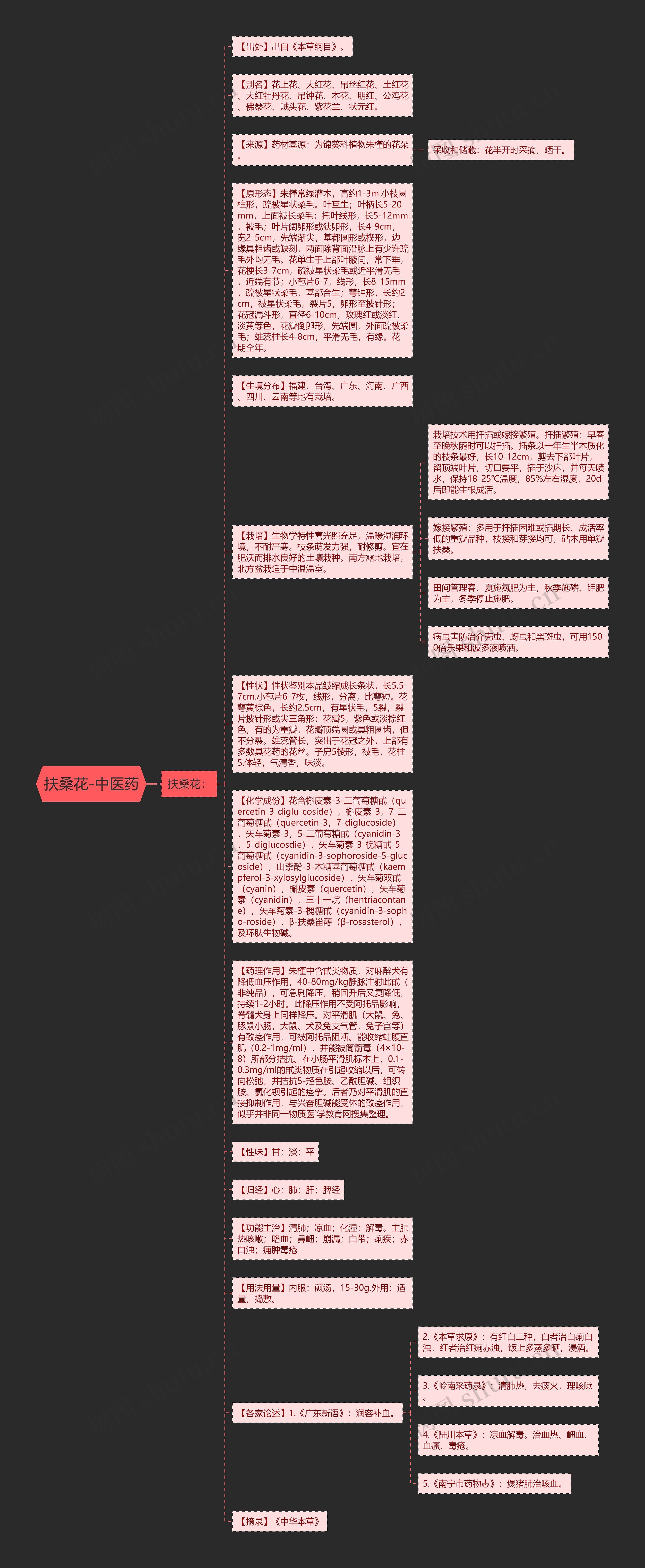 扶桑花-中医药思维导图