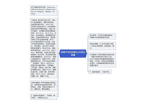 接骨木花的功能主治|用法用量