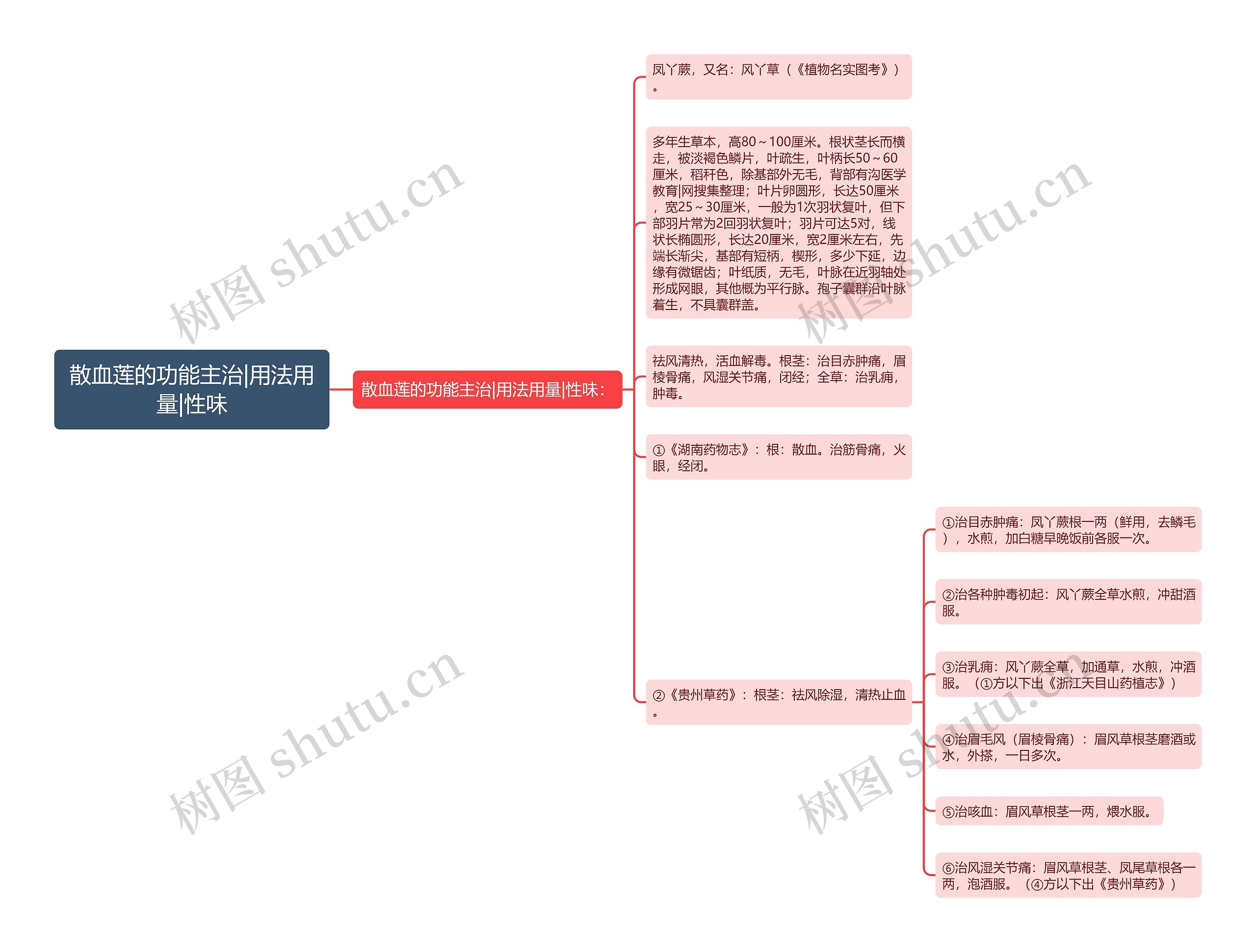 散血莲的功能主治|用法用量|性味思维导图