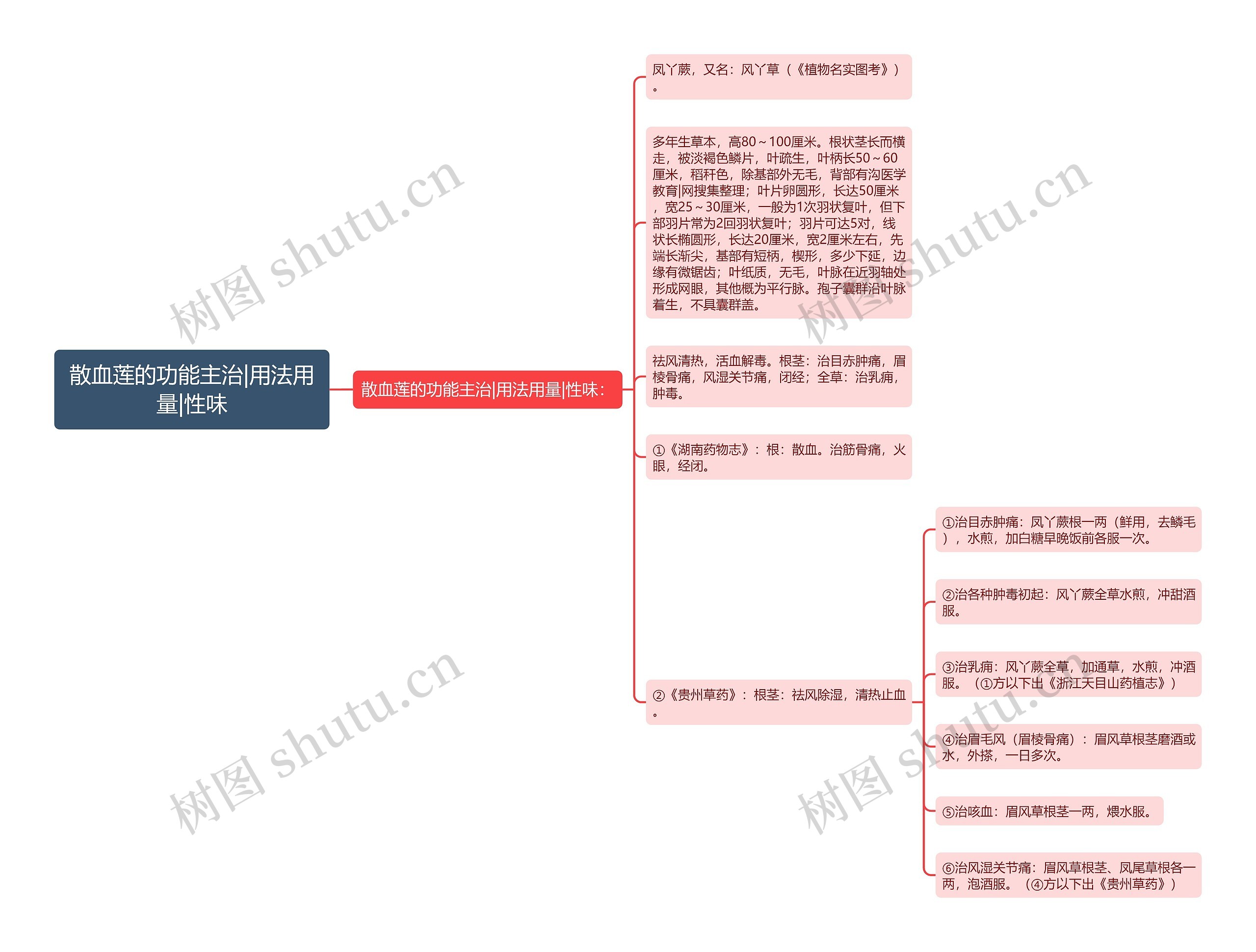 散血莲的功能主治|用法用量|性味 散血莲的功能主治|用法用量|性味