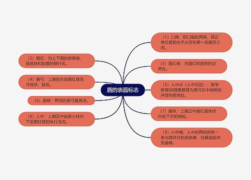 唇的表面标志